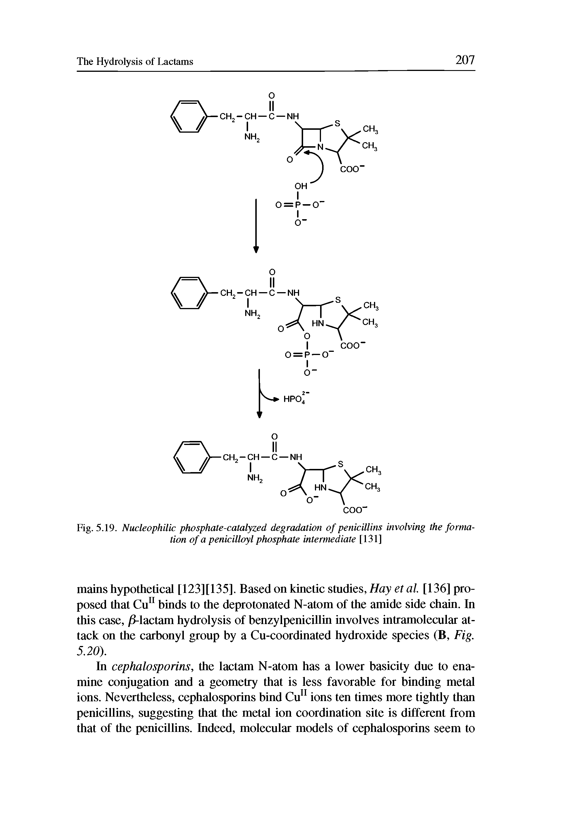 Fig. 5.19. Nucleophilic phosphate-catalyzed degradation of penicillins involving the formation of a penicilloyl phosphate intermediate [131]...