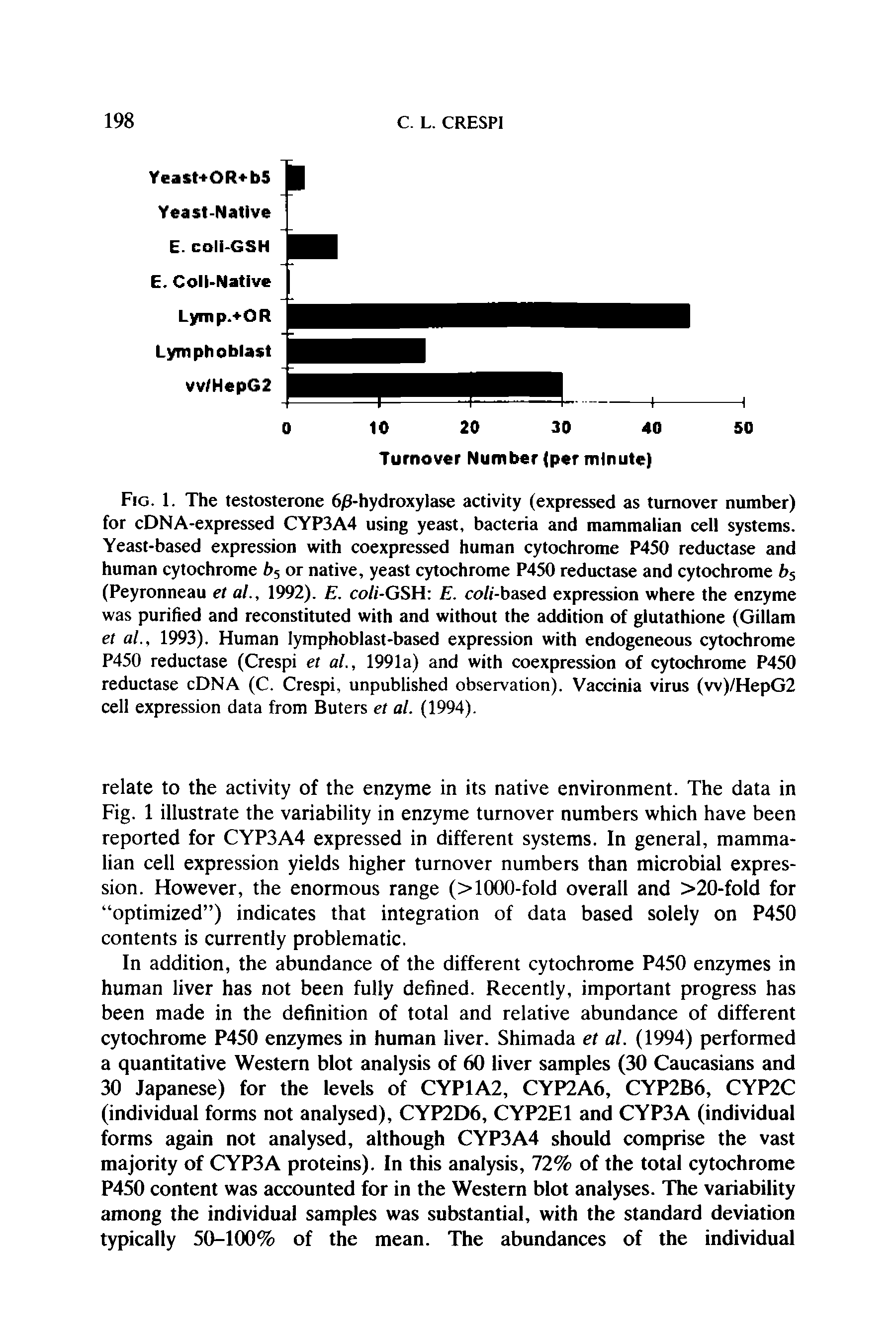 Fig. 1. The testosterone 6j8-hydroxylase activity (expressed as turnover number) for cDNA-expressed CYP3A4 using yeast, bacteria and mammalian cell systems. Yeast-based expression with coexpressed human cytochrome P450 reductase and human cytochrome or native, yeast cytochrome P450 reductase and cytochrome bs (Peyronneau et al., 1992). E. co/i-GSH E. co/i-based expression where the enzyme was purified and reconstituted with and without the addition of glutathione (Gillam et al., 1993). Human lymphoblast-based expression with endogeneous cytochrome P450 reductase (Crespi et al., 1991a) and with coexpression of cytochrome P450 reductase cDNA (C. Crespi, unpublished observation). Vaccinia virus (vv)/HepG2 cell expression data from Buters et al. (1994).