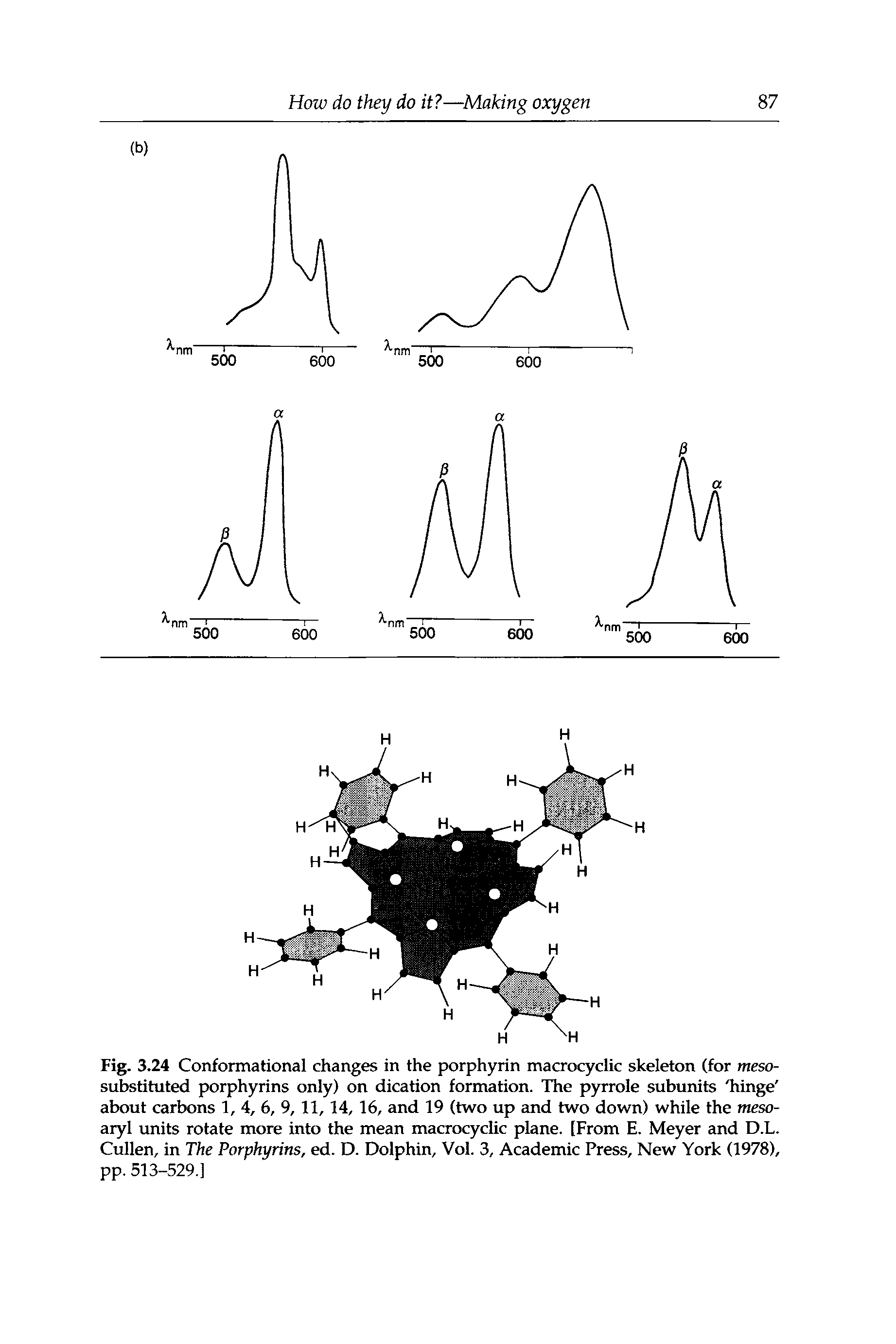 Fig. 3.24 Conformational changes in the porphyrin macrocyclic skeleton (for meso-substituted porphyrins only) on dication formation. The pyrrole subunits hinge about carbons 1, 4, 6, 9,11,14,16, and 19 (two up and two down) while the meso-aryl imits rotate more into the mean macrocyclic plane. [From E. Meyer and D.L. Cullen, in The Porphyrins, ed. D. Dolphin, Vol. 3, Academic Press, New York (1978), pp. 513-529.]...