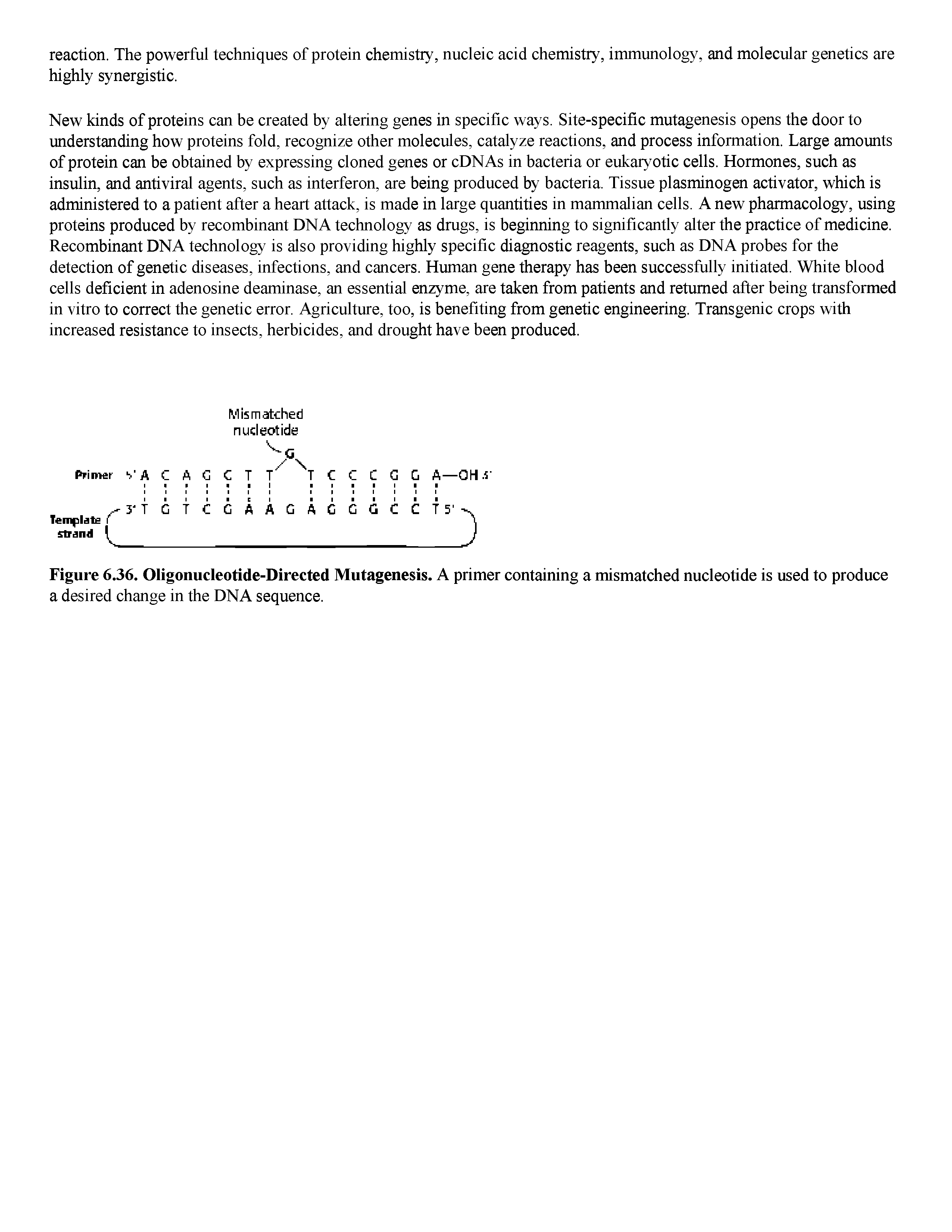 Figure 6.36. Oligonucleotide-Directed Mutagenesis. A primer containing a mismatched nucleotide is used to produce a desired change in the DNA sequence.