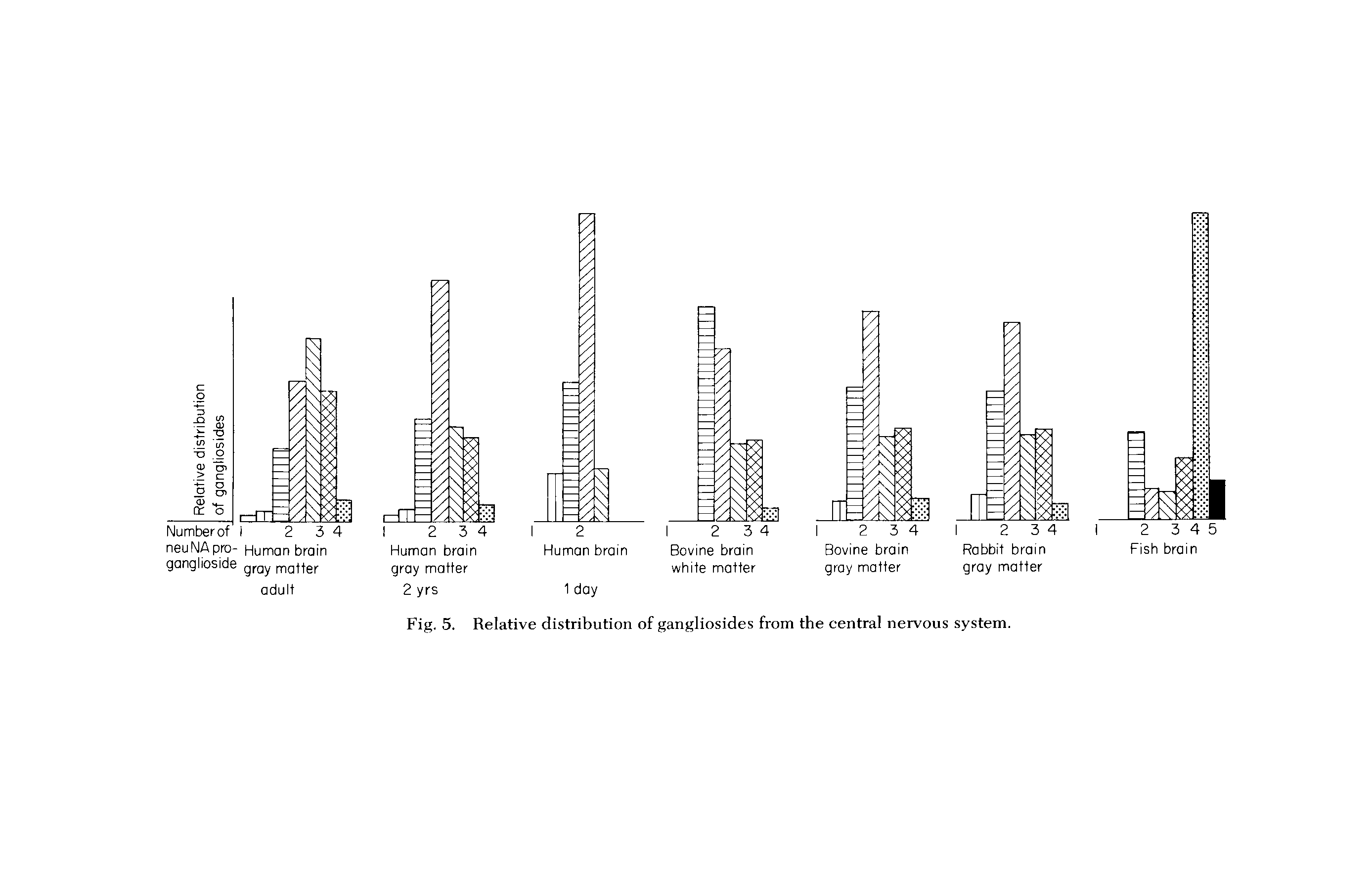 Fig. 5. Relative distribution of gangliosides from the central nervous system.