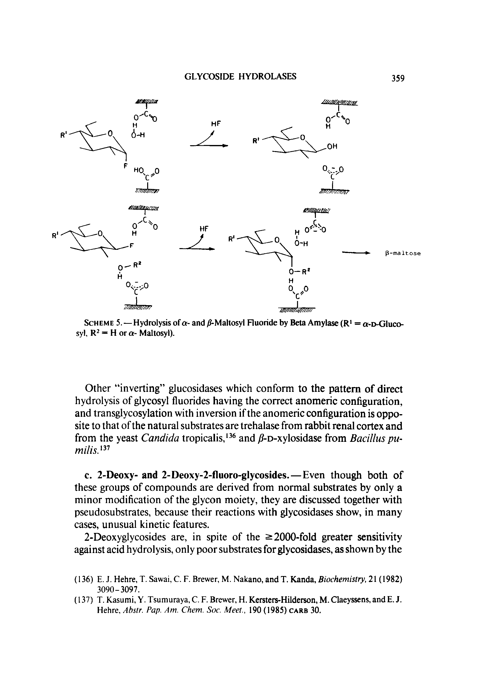 Scheme 5.—Hydrolysis of a- and /J-Maltosyl Fluoride by Beta Amylase (R = o-d-G1uco-syl, R = H or a- Maltosyl).