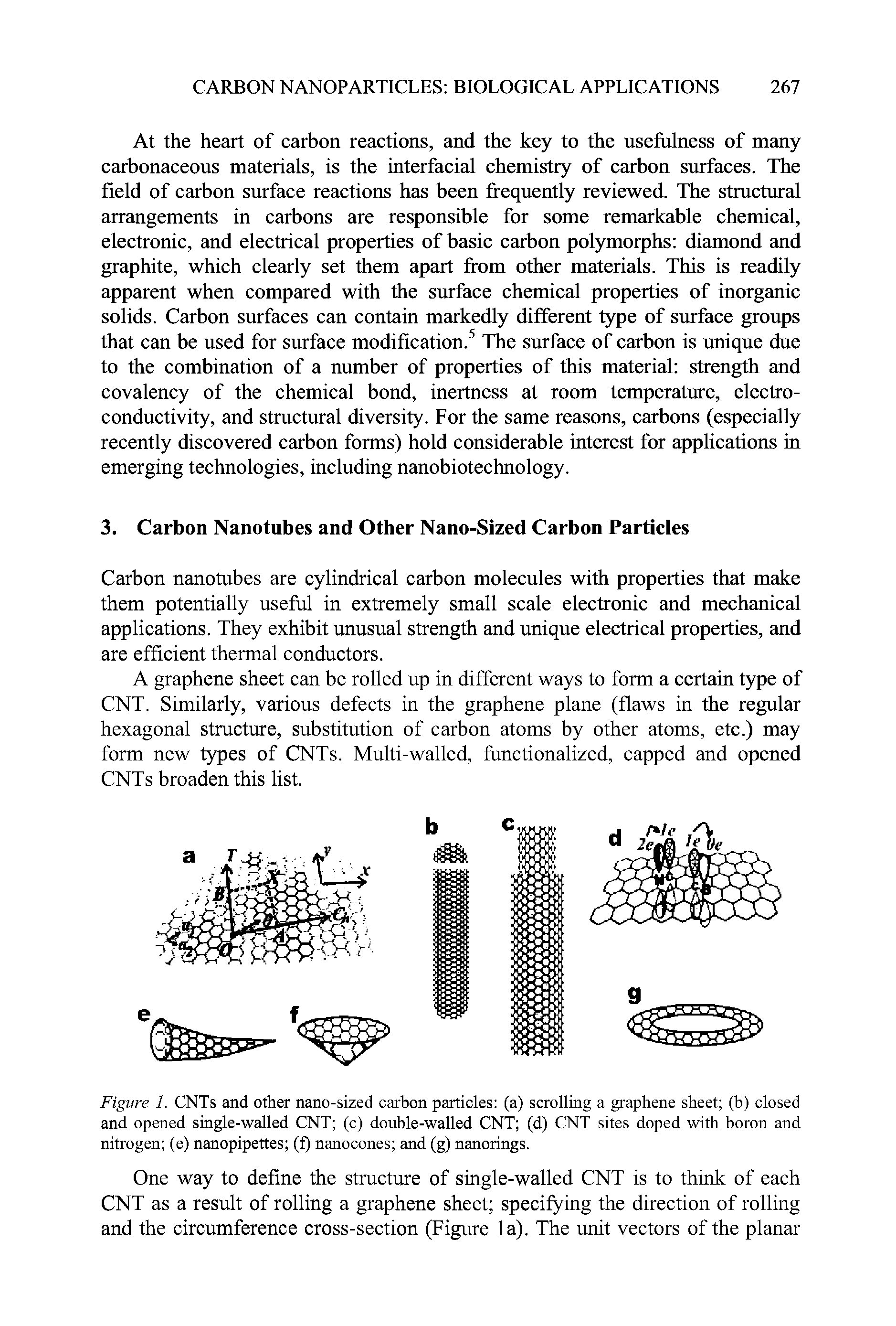 Figure 1. CNTs and other nano-sized carbon particles (a) scrolling a graphene sheet (b) closed and opened single-walled CNT (c) double-walled CNT (d) CNT sites doped with boron and nitrogen (e) nanopipettes (f) nanocones and (g) nanorings.