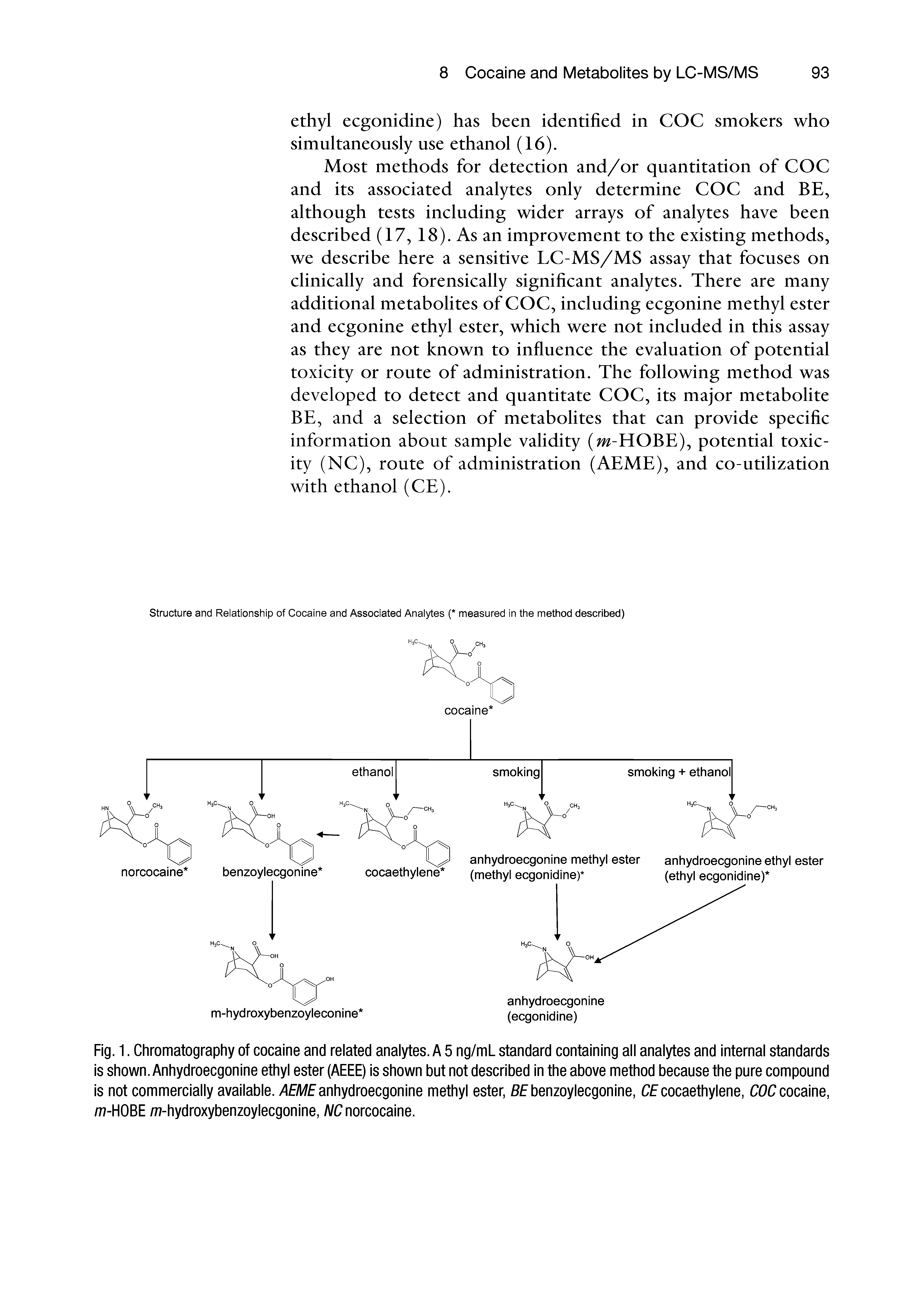 Fig. 1. Chromatography of cocaine and related analytes. A 5 ng/mL standard containing all analytes and internal standards is shown. Anhydroecgonine ethyl ester (AEEE) is shown but not described in the above method because the pure compound is not commercially available. AEME anhydroecgonine methyl ester, 8E benzoylecgonine, CE cocaethylene, COC cocaine, /77-HOBE /77-hydroxybenzoylecgonine, /VC norcocaine.