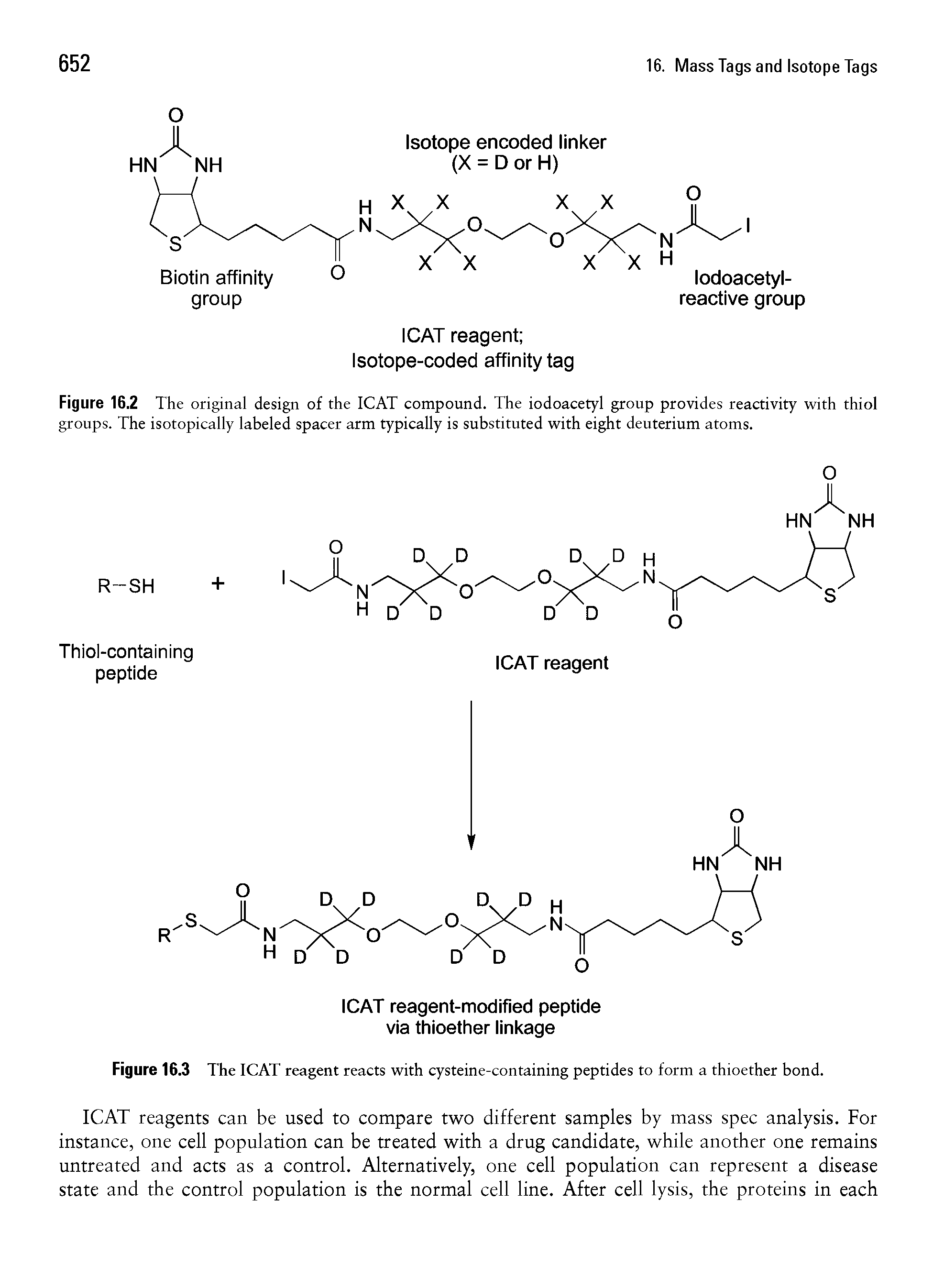 Figure 16.2 The original design of the ICAT compound. The iodoacetyl group provides reactivity with thiol groups. The isotopically labeled spacer arm typically is substituted with eight deuterium atoms.