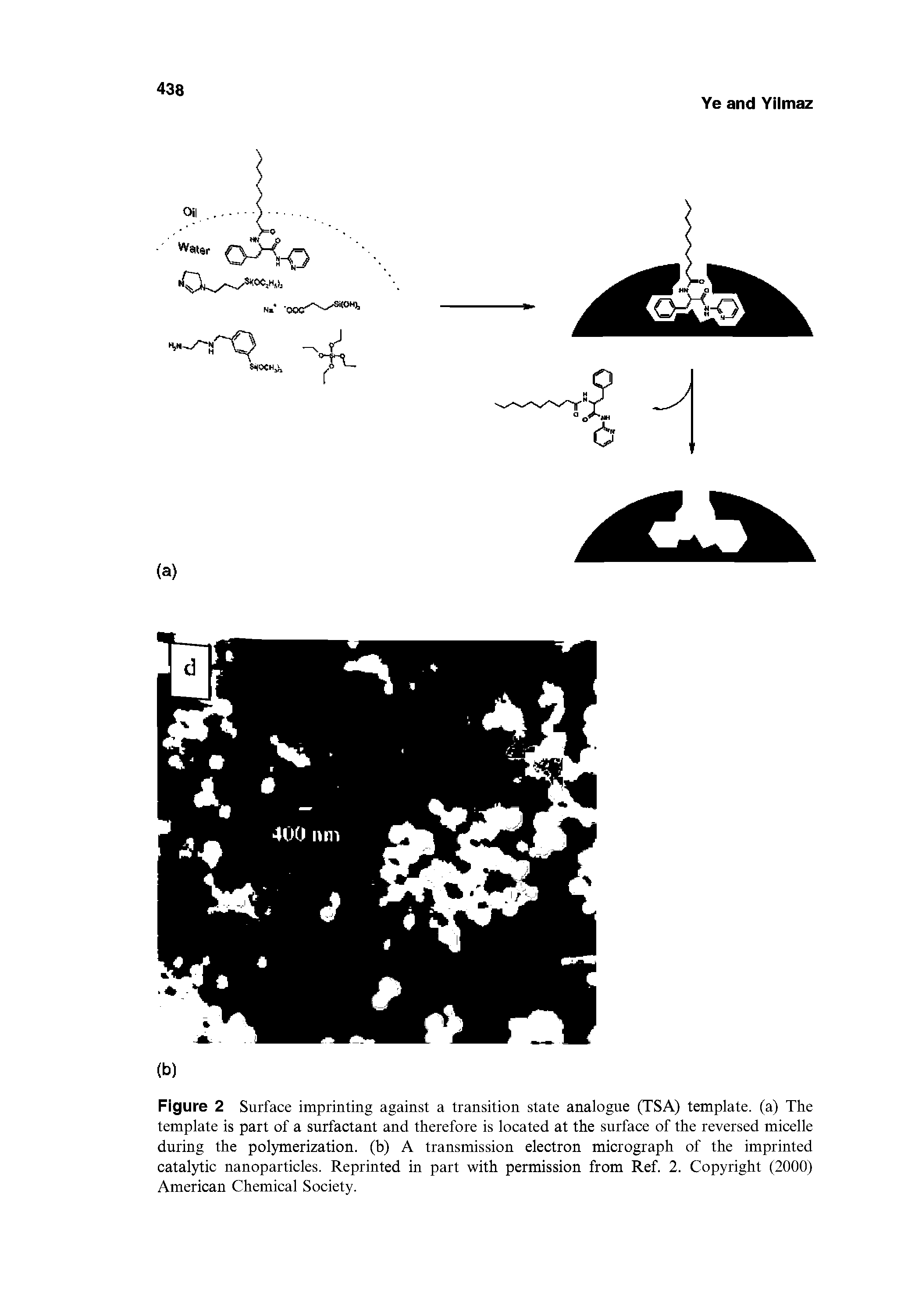 Figure 2 Surface imprinting against a transition state analogue (TSA) template, (a) The template is part of a surfactant and therefore is located at the surface of the reversed micelle during the polymerization, (b) A transmission electron micrograph of the imprinted catalytic nanoparticles. Reprinted in part with permission from Ref. 2. Copyright (2000) American Chemical Society.