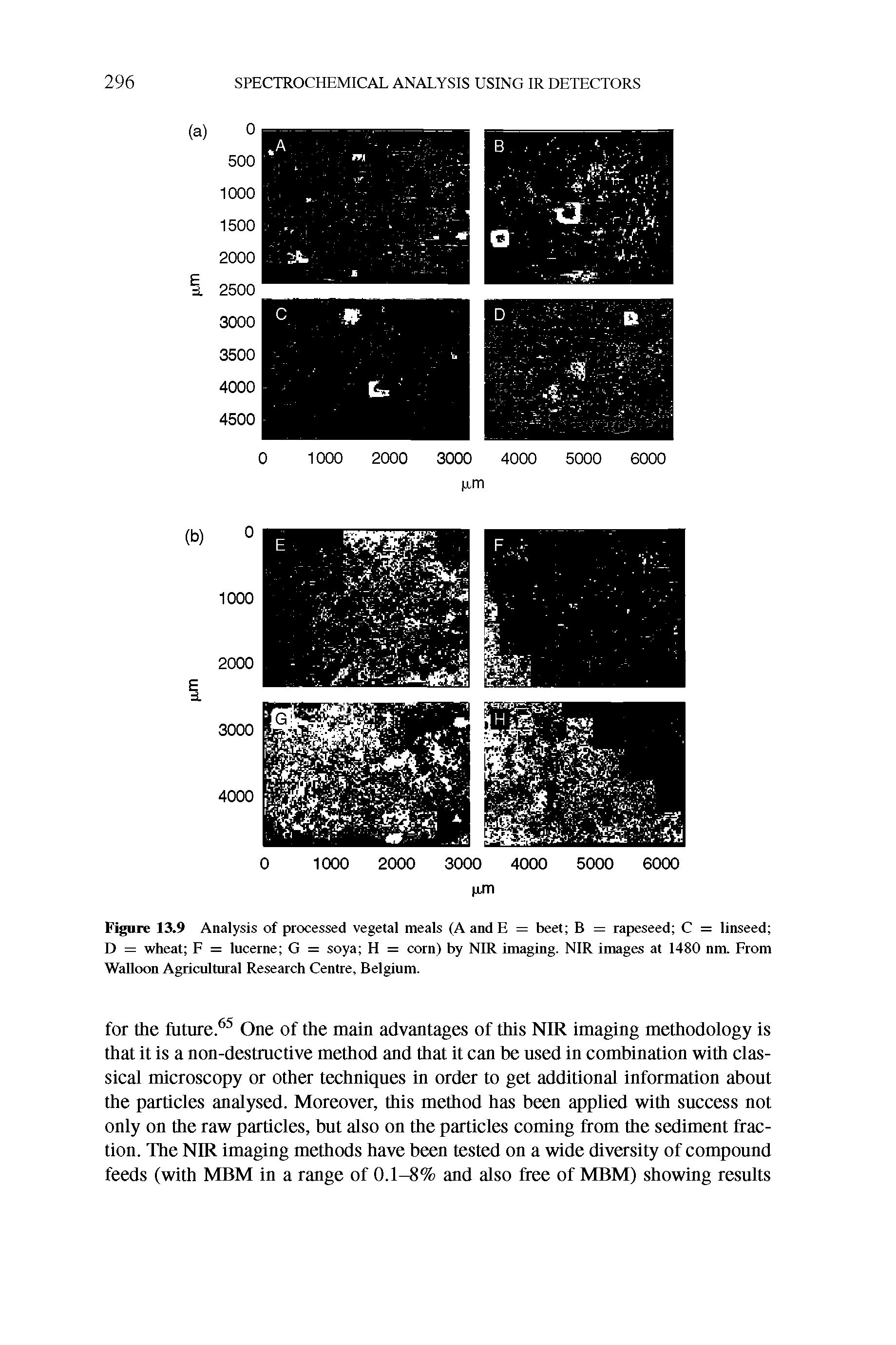 Figure 13.9 Analysis of processed vegetal meals (AandE = beet B = rapeseed C = linseed D = wheat F = lucerne G = soya H = corn) by NIR imaging. NIR images at 1480 nm. From Walloon Agricultural Research Centre, Belgium.