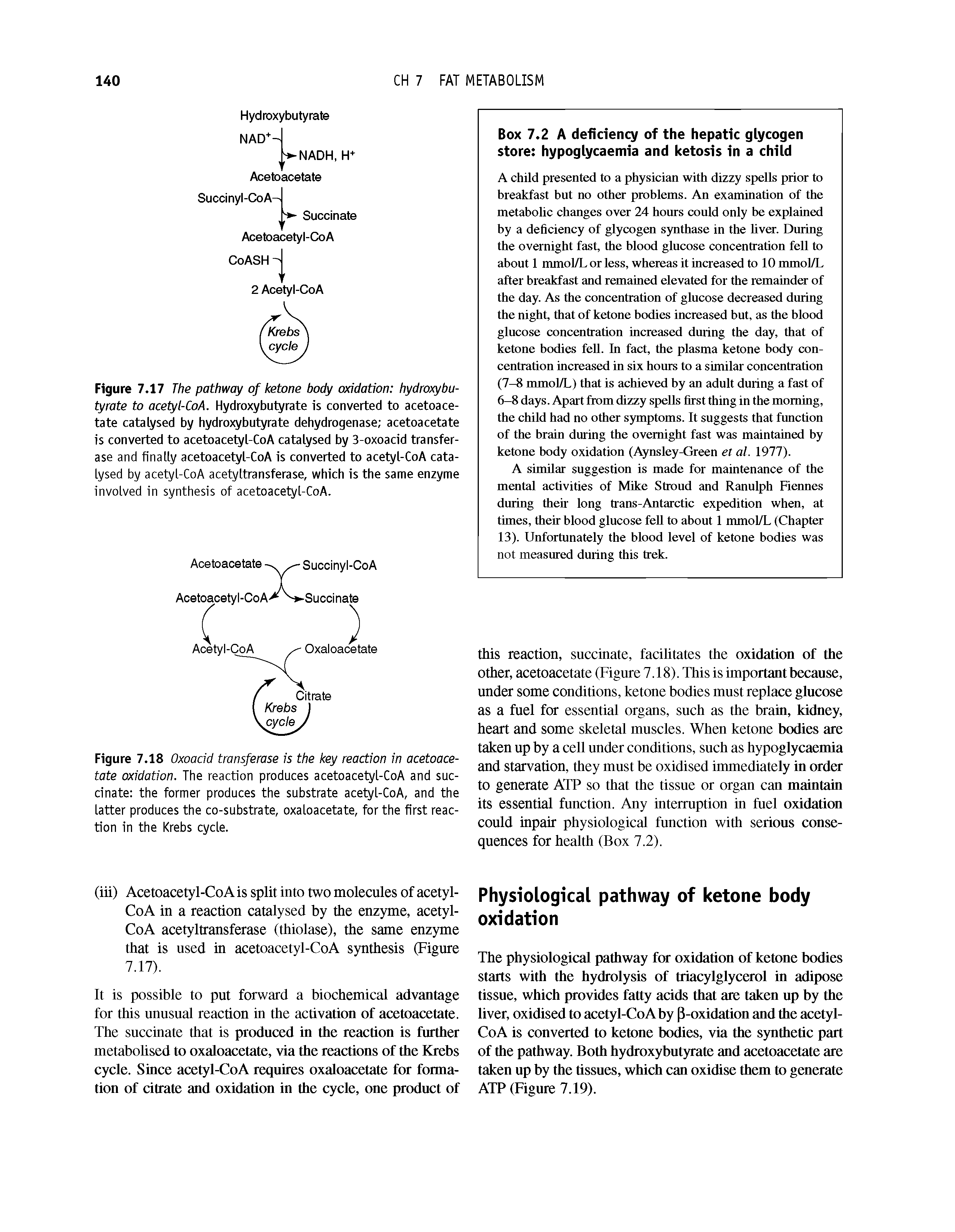 Figure 7.17 The pathway of ketone body oxidation hydroxybutyrate to acetyl-CoA. Hydroxybutyrate is converted to acetoacetate catalysed by hydroxybutyrate dehydrogenase acetoacetate is converted to acetoacetyl-CoA catalysed by 3-oxoacid transferase and finally acetoacetyl-CoA is converted to acetyl-CoA catalysed by acetyl-CoA acetyltransferase, which is the same enzyme involved in synthesis of acetoacetyl-CoA.