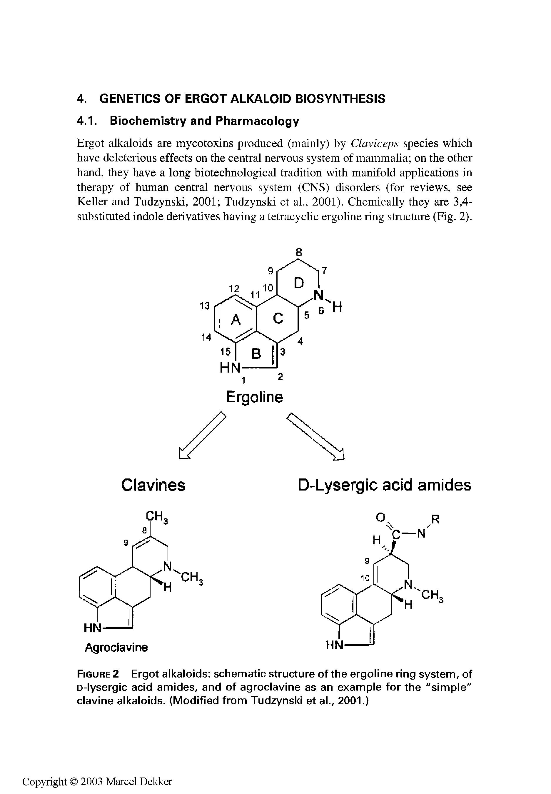 Figure 2 Ergot alkaloids schematic structure of the ergoline ring system, of D-lysergic acid amides, and of agroclavine as an example for the "simple" clavine alkaloids. (Modified from Tudzynski et al., 2001.)...