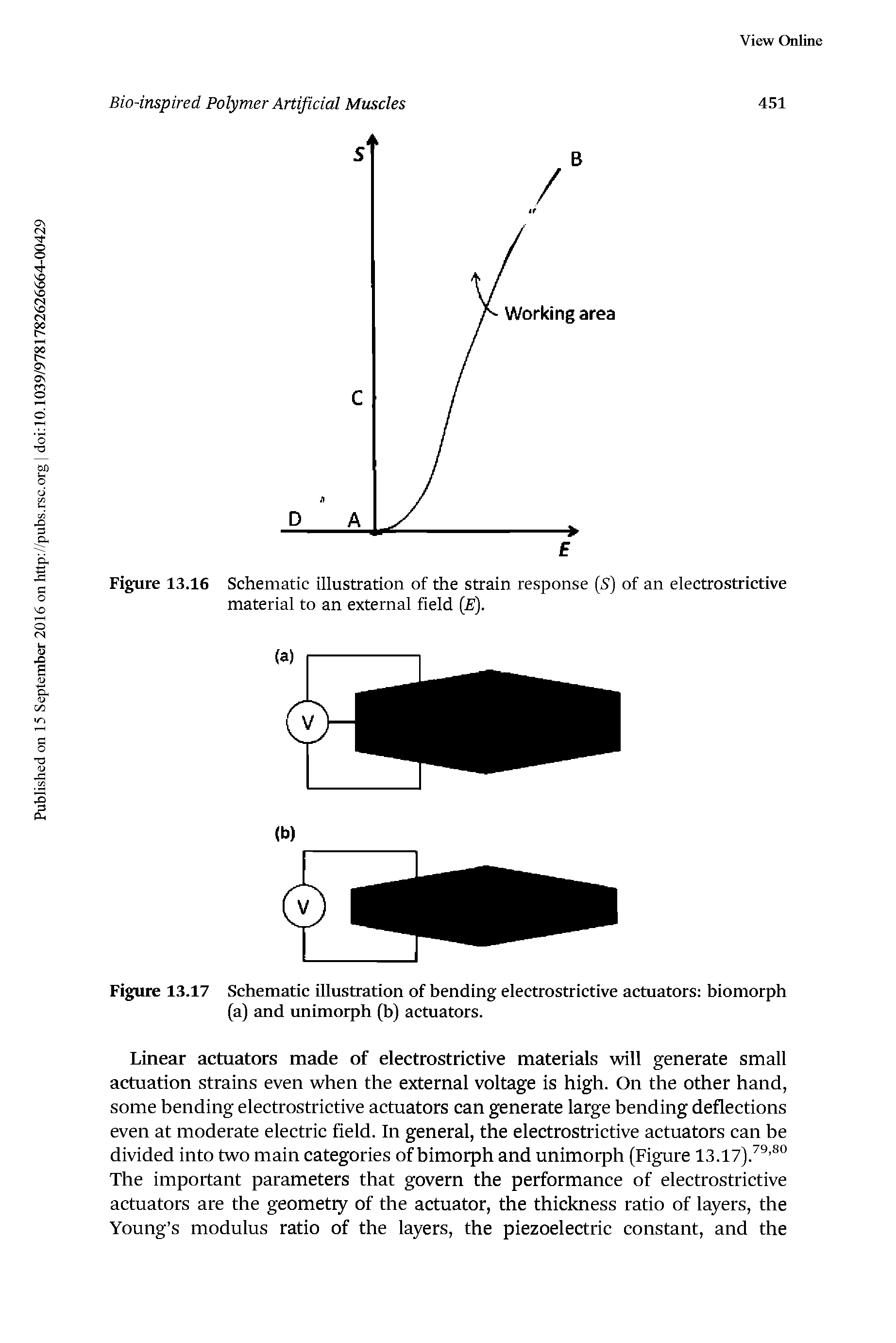 Figure 13.17 Schematic illustration of bending electrostrictive actuators biomorph (a) and unimorph (b) actuators.