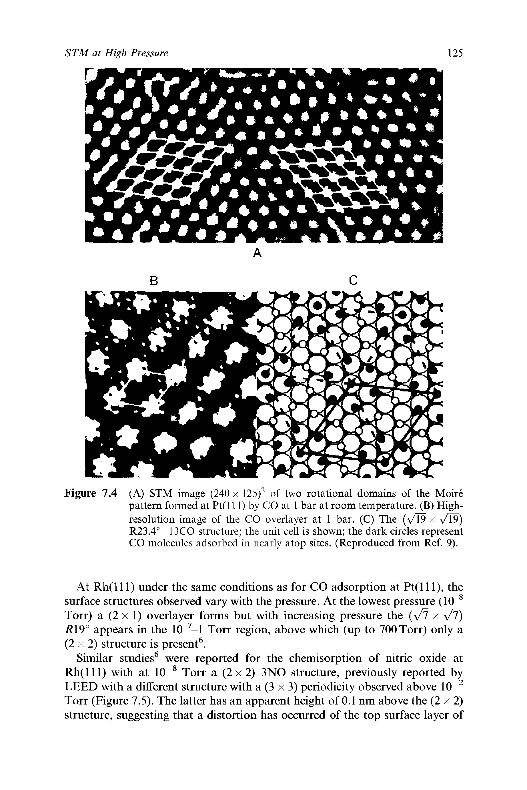 Figure 7.4 (A) STM image (240 x 125)2 of two rotational domains of the Moire pattern formed at Pt(l 11) by CO at 1 bar at room temperature. (B) High-resolution image of the CO overlayer at 1 bar. (C) The ( /l9 x /T9) R23.40—13CO structure the unit cell is shown the dark circles represent CO molecules adsorbed in nearly atop sites. (Reproduced from Ref. 9).