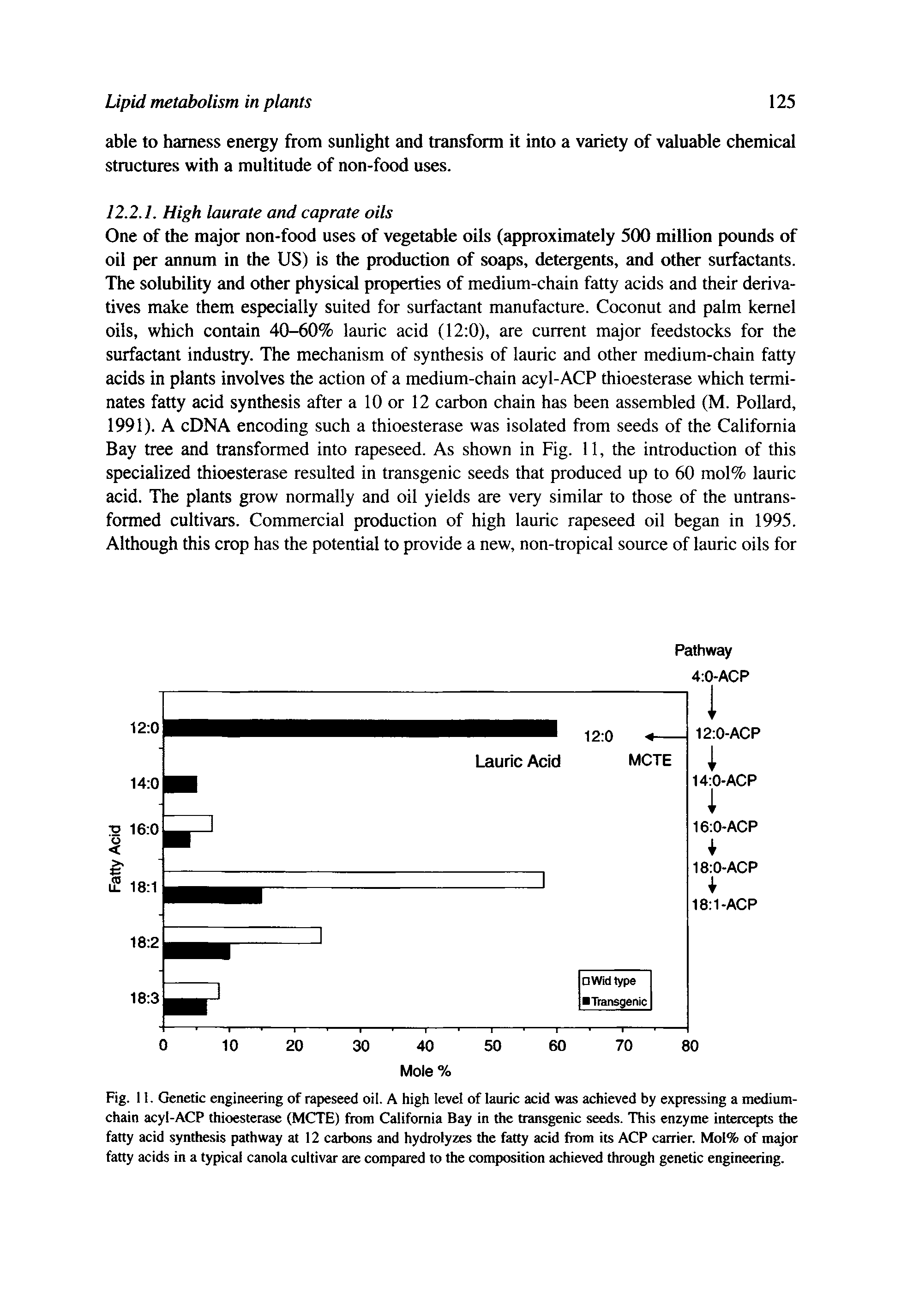 Fig. 11. Genetic engineering of rapeseed oil. A high level of lauric acid was achieved by expressing a medium-chain acyl-ACP thioesterase (MCTE) from California Bay in the transgenic seeds. This enzyme intercepts the fatty acid synthesis pathway at 12 carbons and hydrolyzes the fatty acid from its ACP carrier. MoI% of major fatty acids in a typical canola cultivar are compared to the composition achieved through genetic engineering.