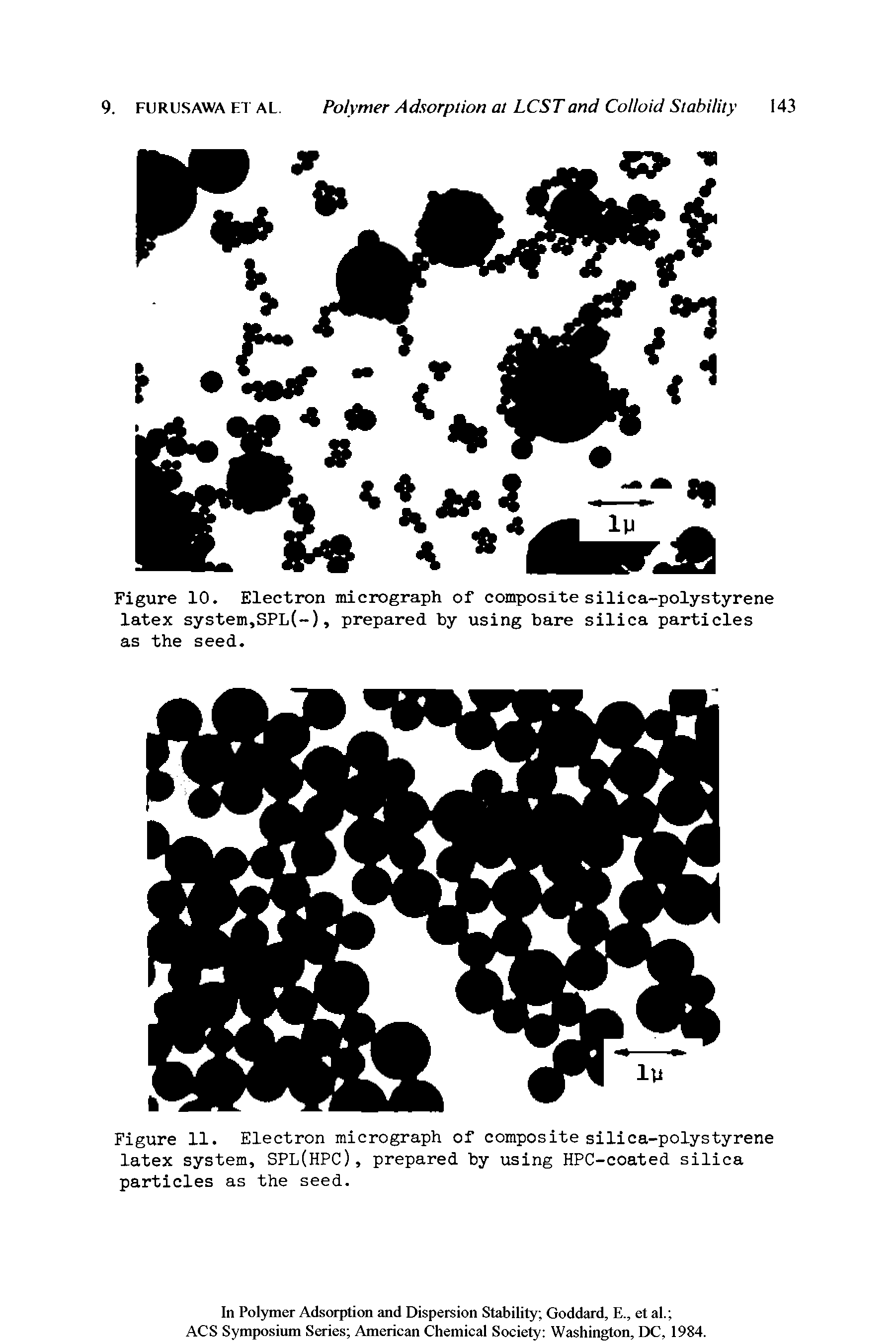 Figure 10. Electron micrograph of composite silica-polystyrene latex system,SPL(-), prepared by using bare silica particles as the seed.