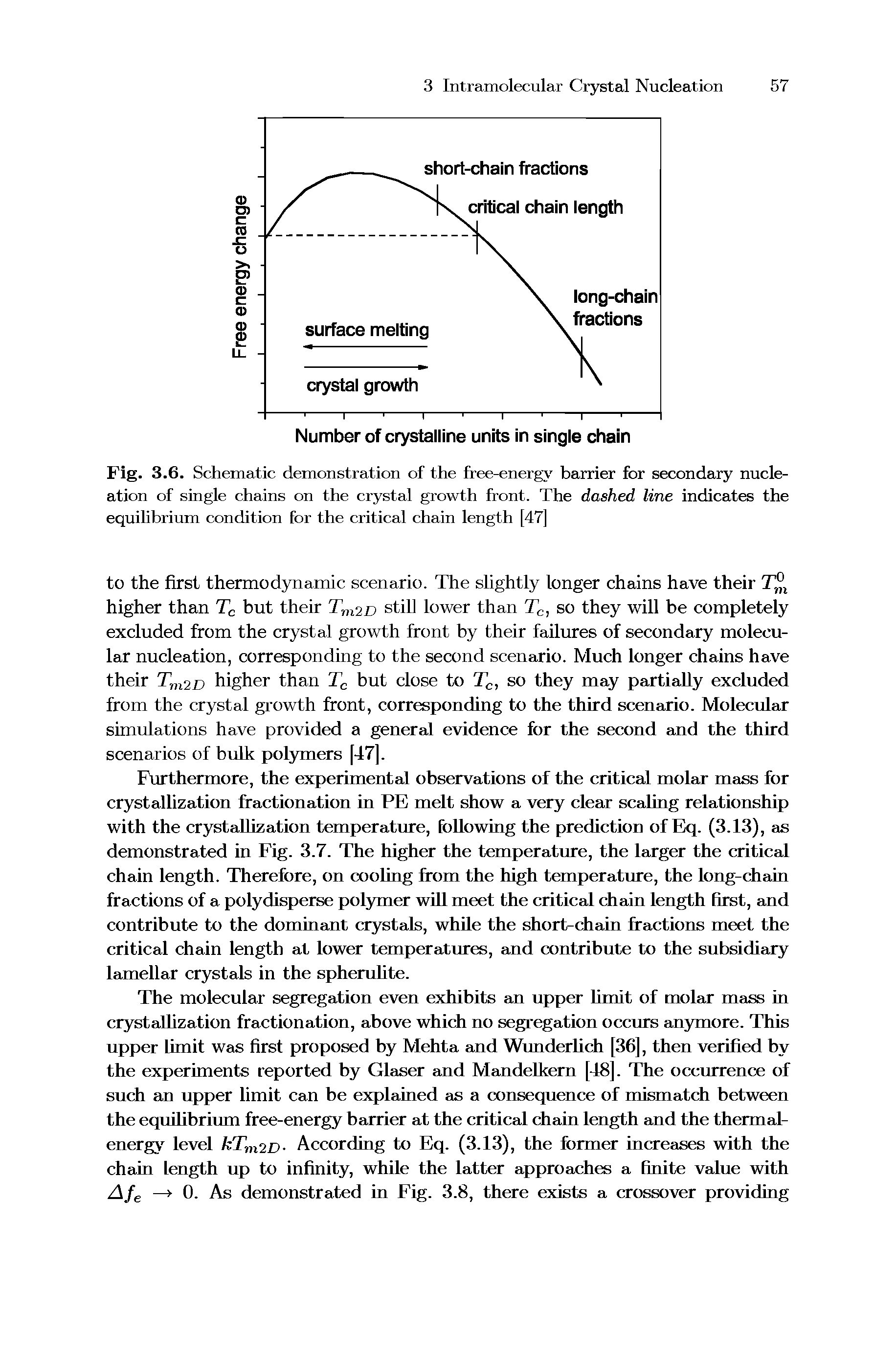 Fig. 3.6. Schematic demonstration of the free-energy barrier for secondary nucleation of single chains on the crystal growth front. The dashed line indicates the equilibrium condition for the critical chain length [47]...