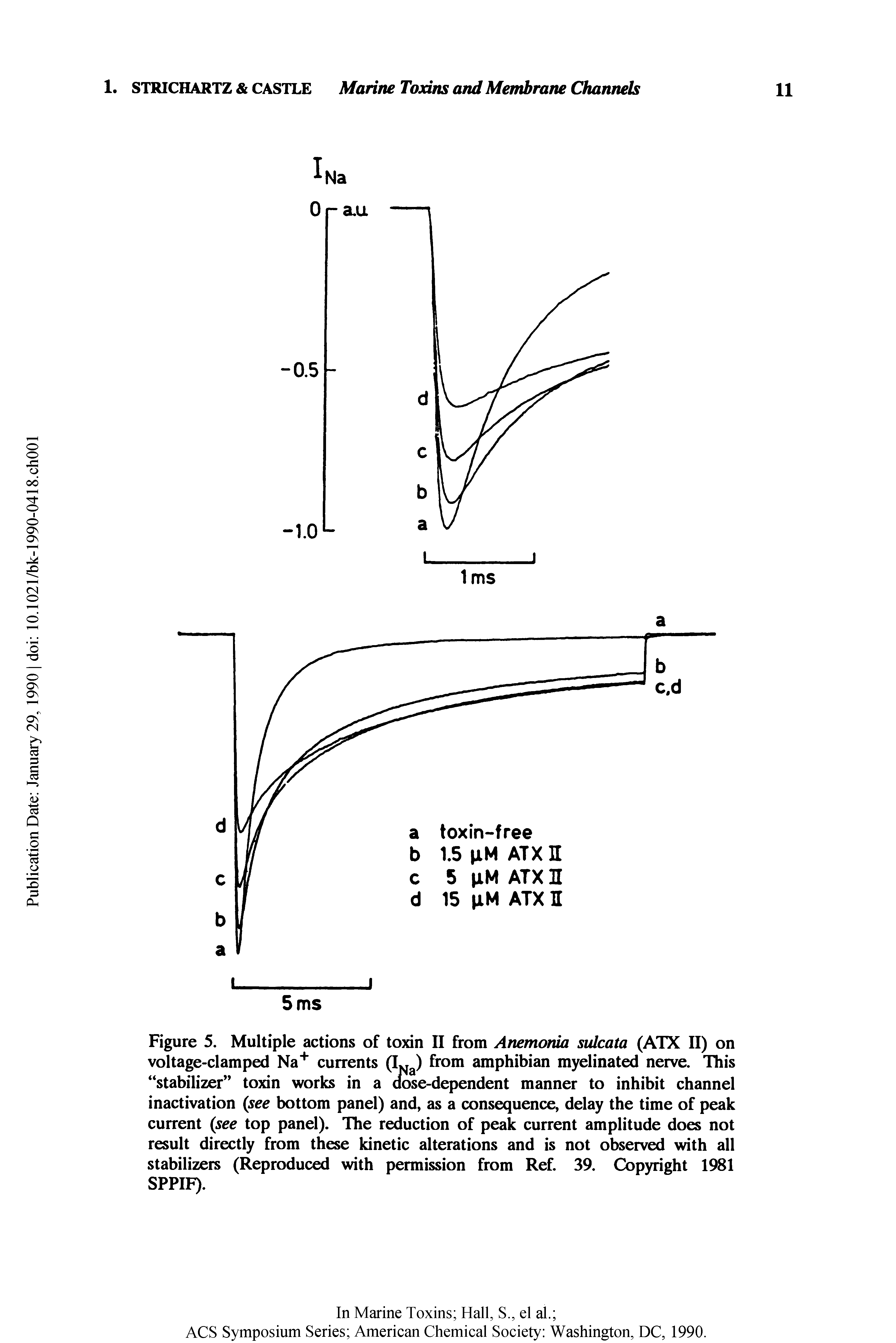 Figure 5. Multiple actions of toxin II from Ammonia sulcata (ATX II) on voltage-clamped Na currents (Ij ) from amphibian myelinated nerve. This stabilizer toxin works in a dose-dependent manner to inhibit channel inactivation see bottom panel) and, as a consequence, delay the time of peak current see top panel). The reduction of peak current amplitude does not result directly from these kinetic alterations and is not observed with all stabilizers (Reproduced with permission from Ref. 39. Copyright 1981 SPPIF).