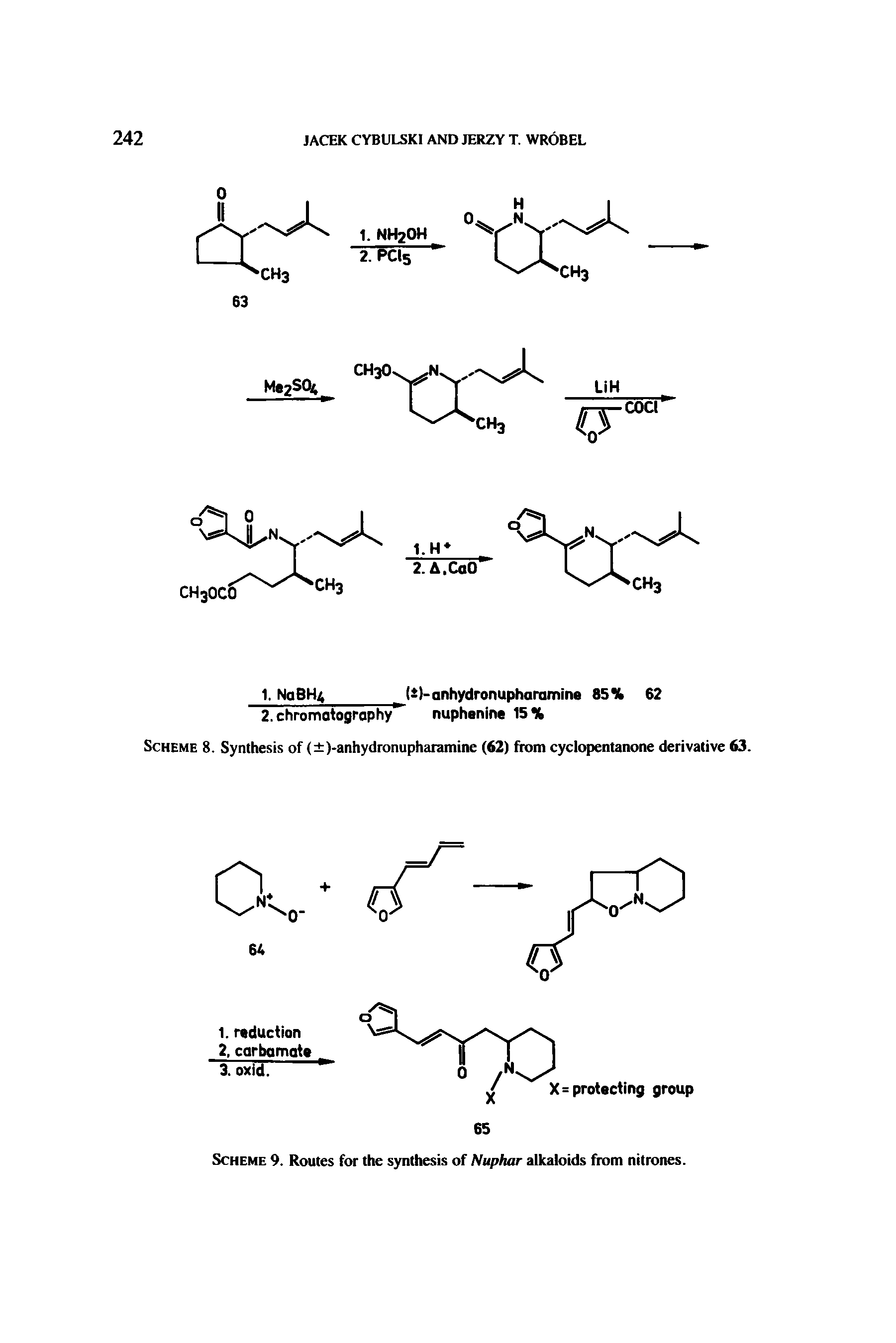 Scheme 9. Routes for the synthesis of Nuphar alkaloids from nitrones.