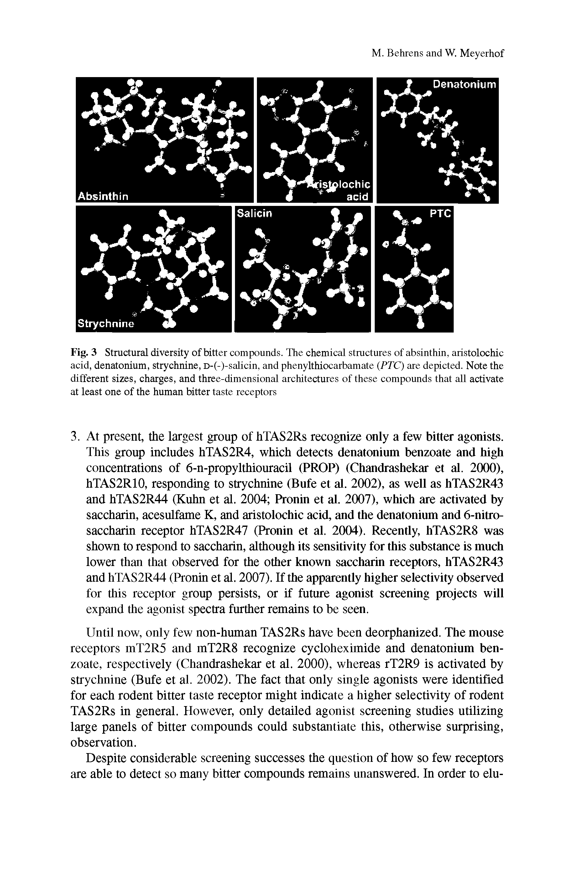 Fig. 3 Structural diversity of bitter compounds. The chemical structures of absinthin, aristolochic acid, denatonium, strychnine, D-(-)-salicin, and phenylthiocarbamate (PTC) are depicted. Note the different sizes, charges, and three-dimensional architectures of these compounds that all activate at least one of the human bitter taste receptors...