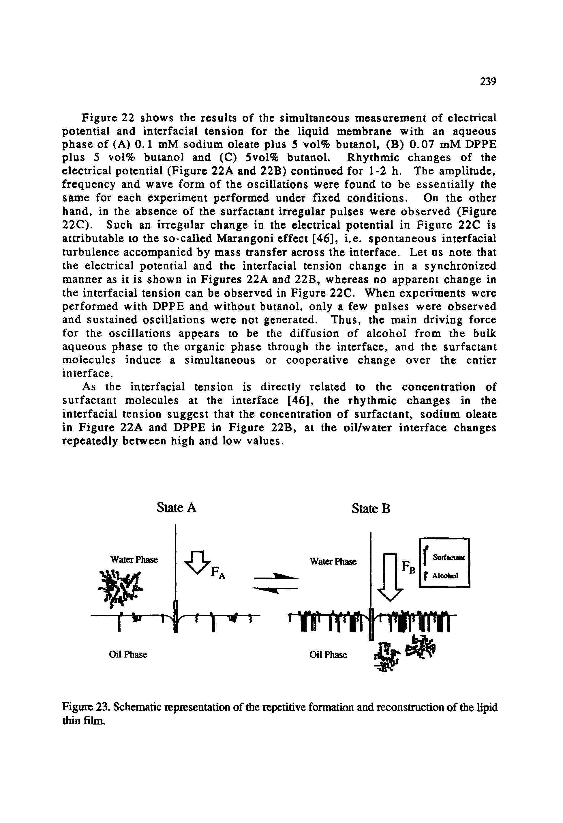 Figure 23. Schematic representation of the repetitive formation and reconstruction of the lipid thin film.