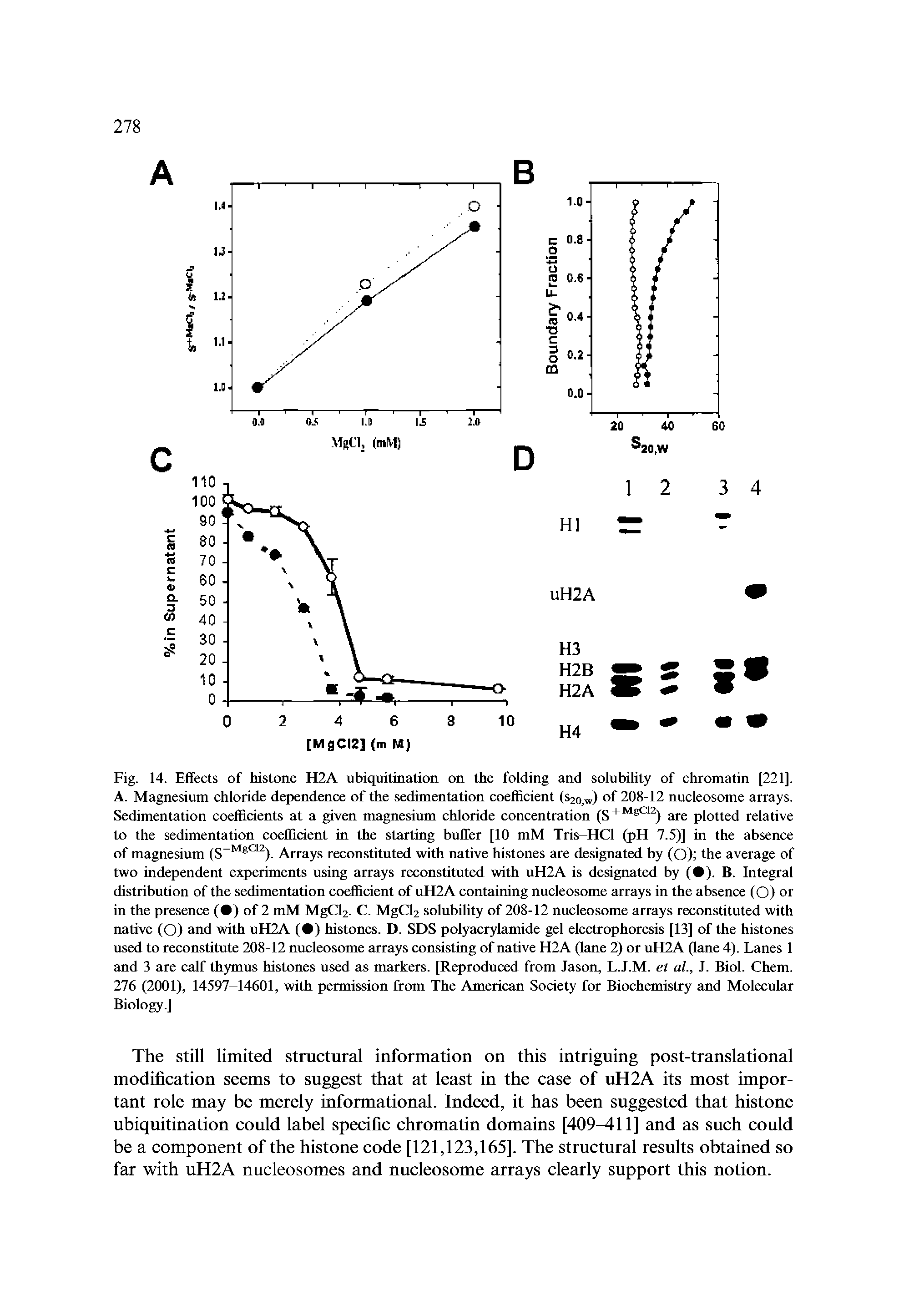 Fig. 14. Effects of histone H2A ubiquitination on the folding and solubility of chromatin [221]. A. Magnesium chloride dependence of the sedimentation coefficient (S2o,w) of 208-12 nucleosome arrays. Sedimentation coefficients at a given magnesium chloride concentration are plotted relative...