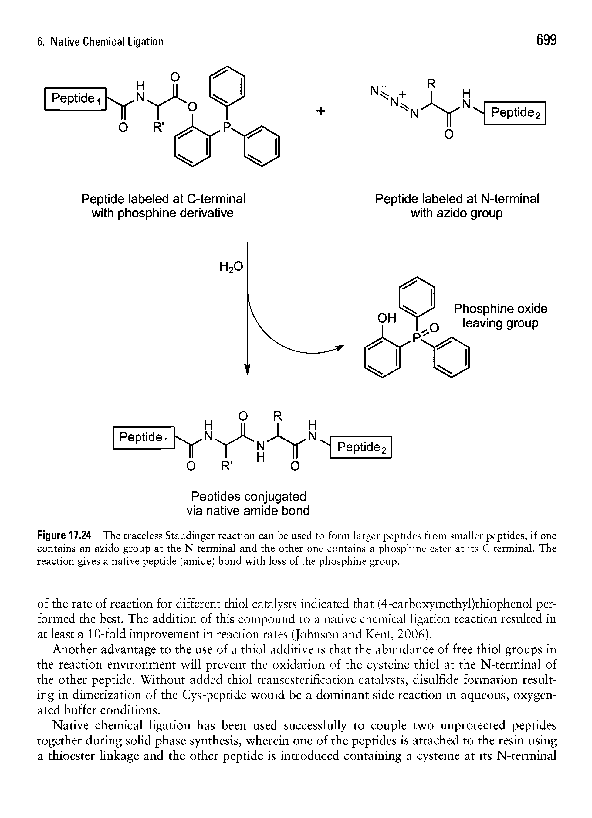 Figure 17.24 The traceless Staudinger reaction can be used to form larger peptides from smaller peptides, if one contains an azido group at the N-terminal and the other one contains a phosphine ester at its C-terminal. The reaction gives a native peptide (amide) bond with loss of the phosphine group.
