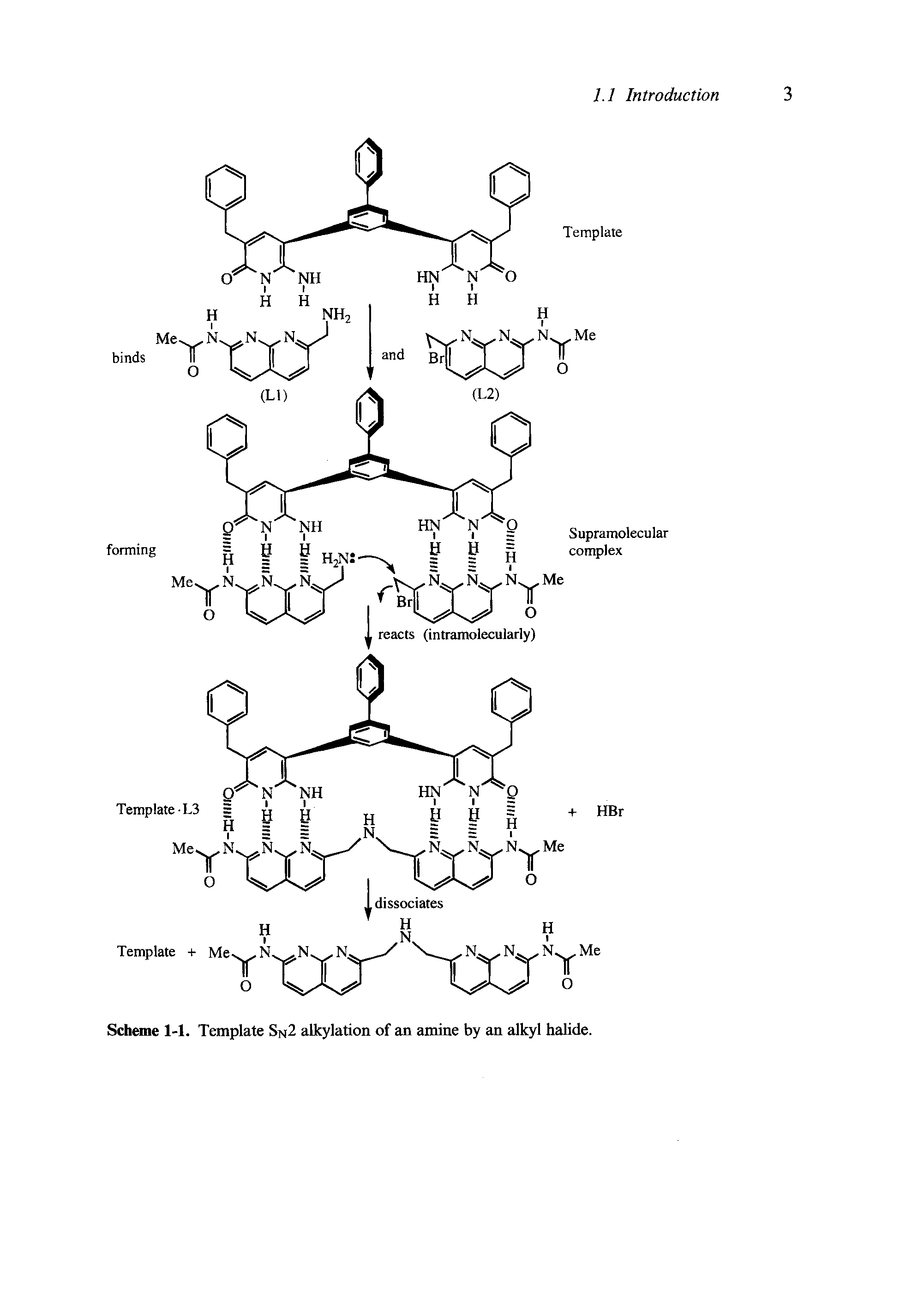 Scheme 1-1. Template Sn2 alkylation of an amine by an alkyl halide.
