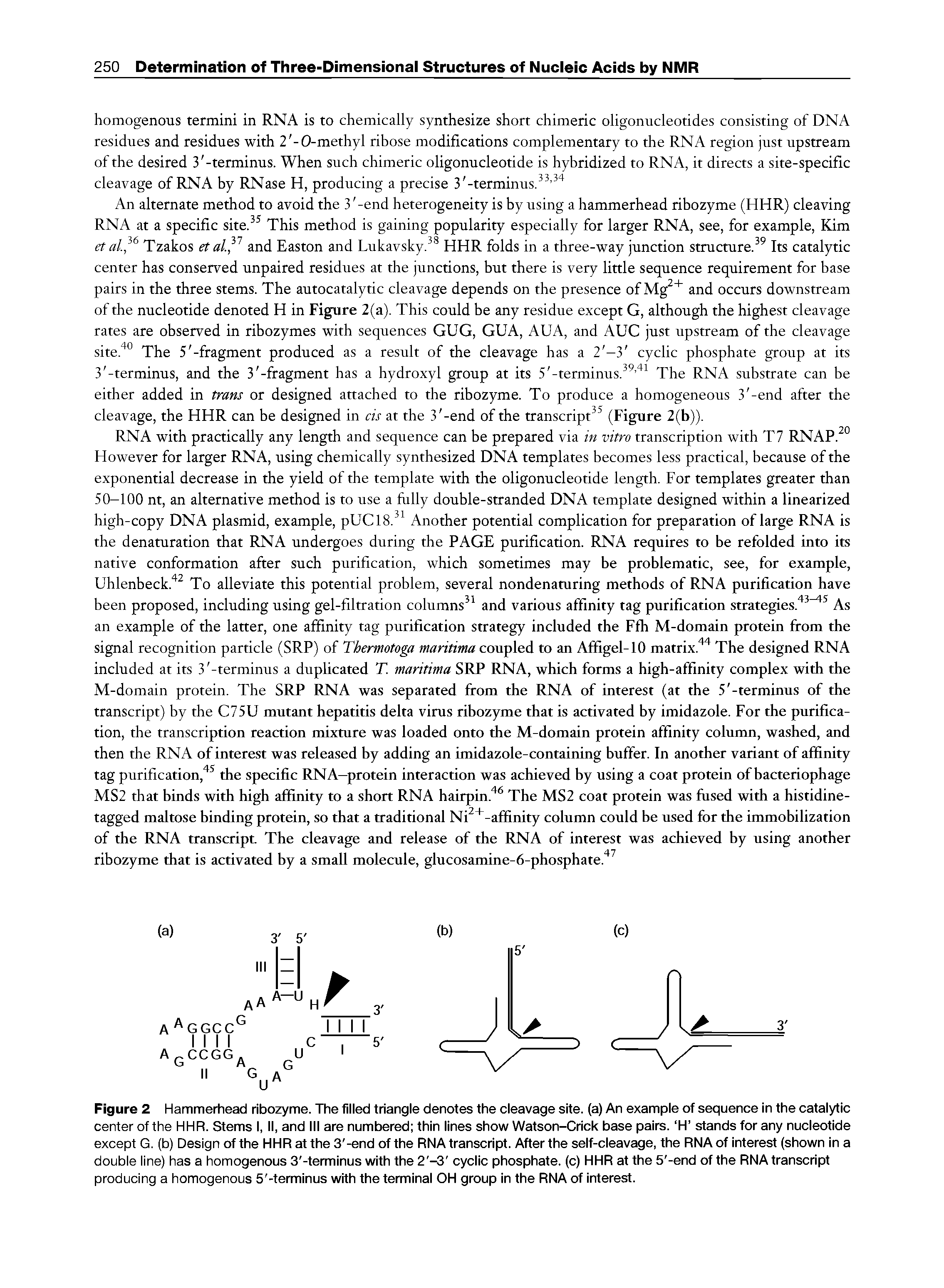 Figure 2 Hammerhead ribozyme. The filled triangle denotes the cleavage site, (a) An example of sequence in the catalytic center of the HHR. Stems I, II, and III are numbered thin lines show Watson-Crick base pairs. H stands for any nucleotide except G. (b) Design of the HHR at the 3 -end of the RNA transcript. After the self-cleavage, the RNA of interest (shown in a double line) has a homogenous 3 -terminus with the 2 -3 cyclic phosphate, (c) HHR at the 5 -end of the RNA transcript producing a homogenous 5 -terminus with the terminal OH group in the RNA of interest.