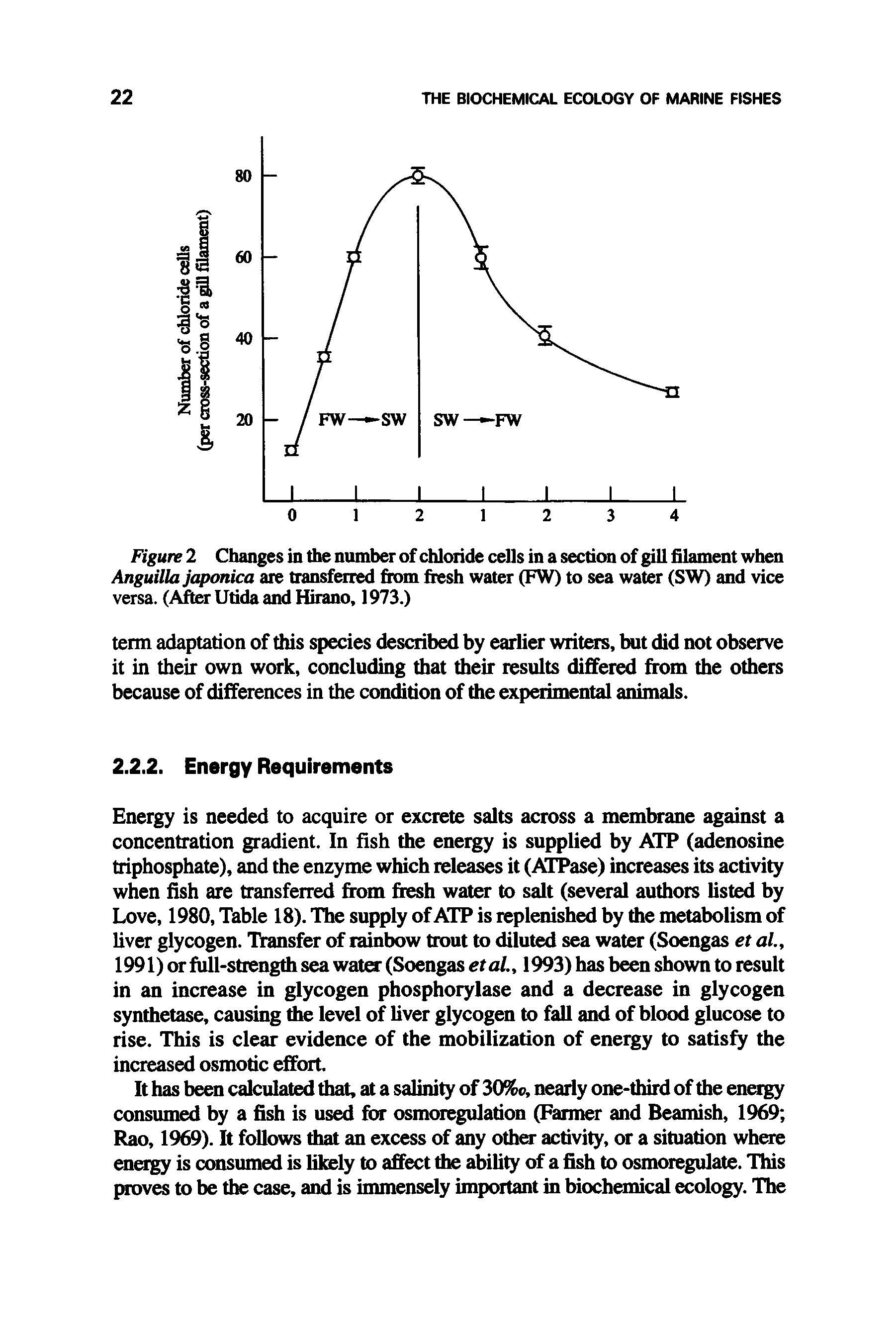 Figure 2 Changes in the number of chloride cells in a section of gill filament when Anguilla japonica are transferred from fresh water (FW) to sea water (SW) and vice versa. (After Utida and Hirano, 1973.)...