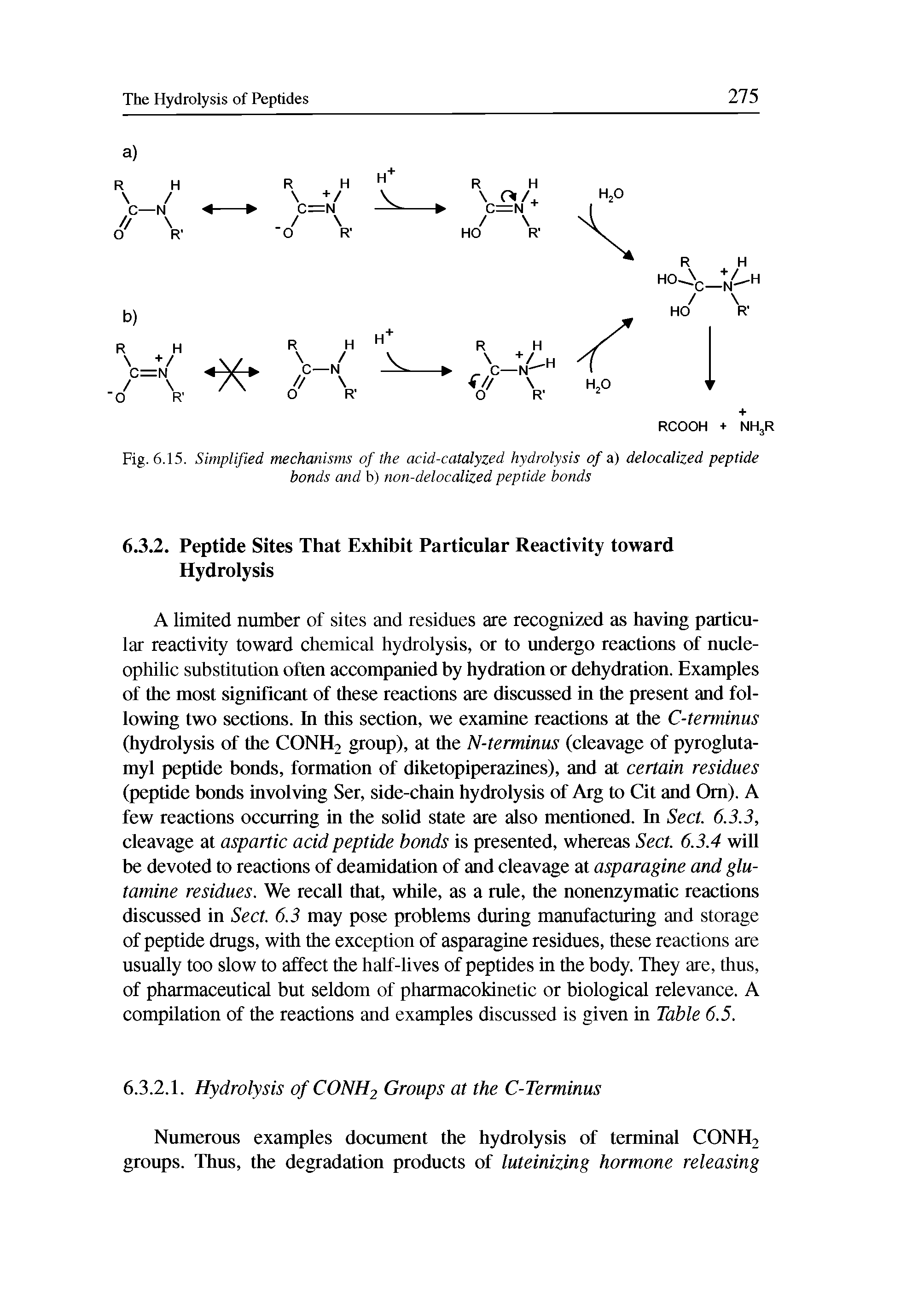 Fig. 6.15. Simplified mechanisms of the acid-catalyzed hydrolysis of a) delocalized peptide bonds and b) non-delocalized peptide bonds...