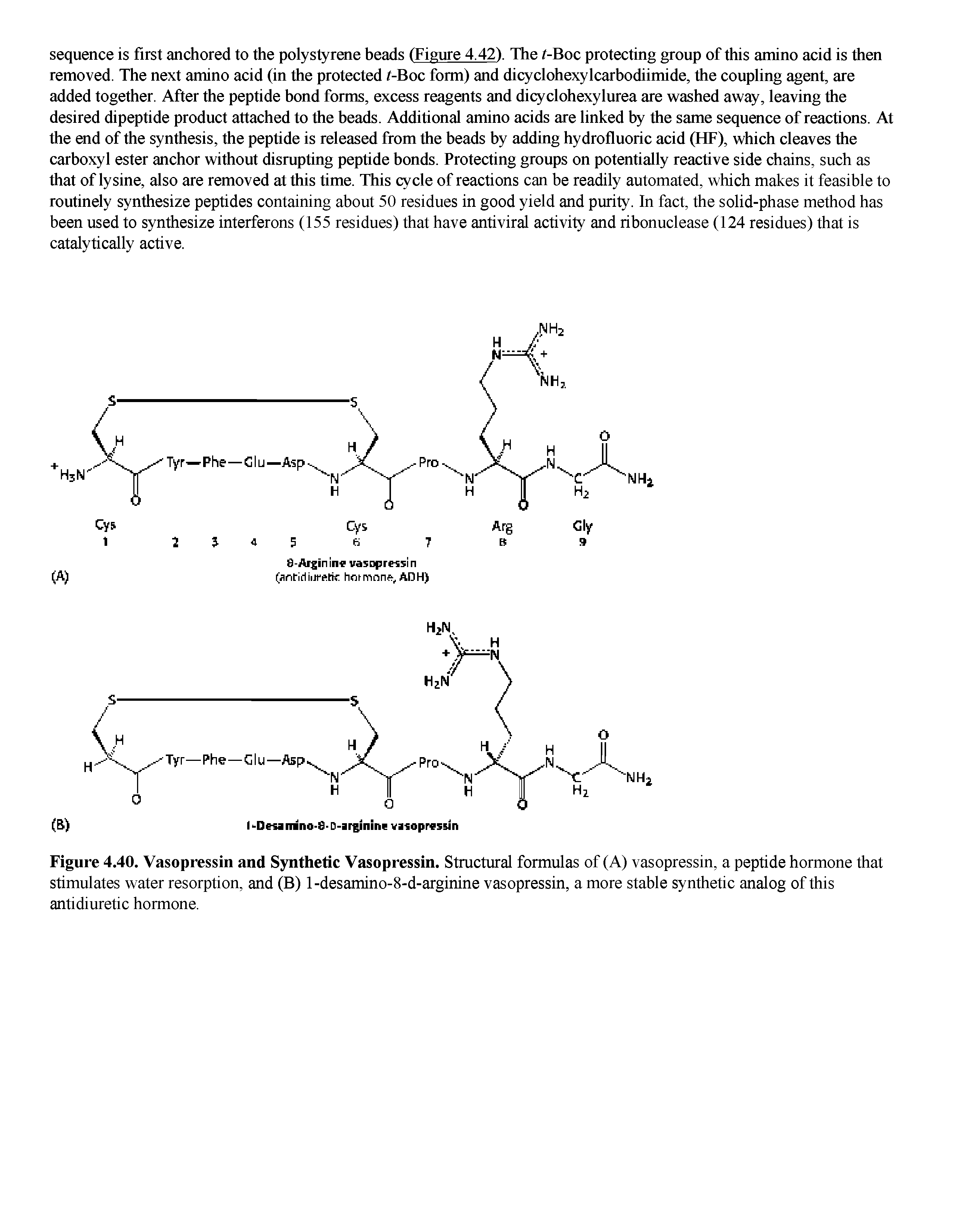 Figure 4.40. Vasopressin and Synthetic Vasopressin. Structural formulas of (A) vasopressin, a peptide hormone that stimulates water resorption, and (B) l-desamino-8-d-arginine vasopressin, a more stable synthetic analog of this antidiuretic hormone.