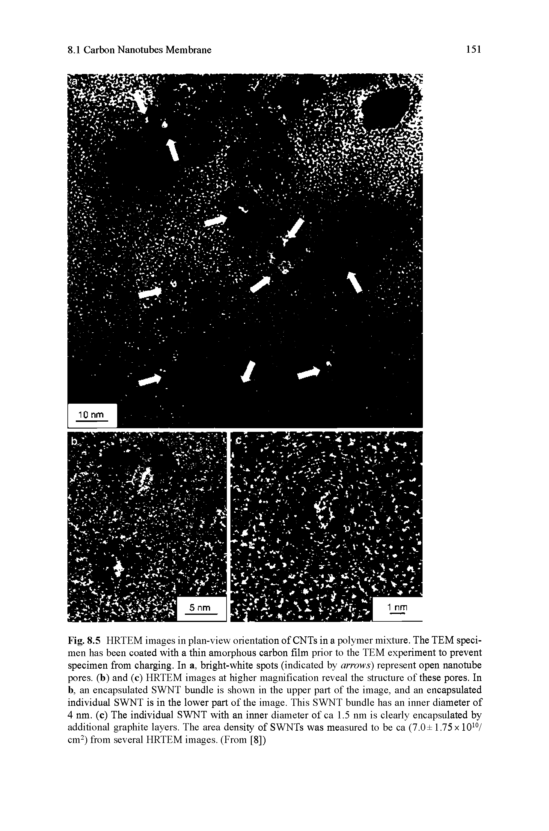 Fig. 8.5 HRTEM images in plan-view orientation of CNTs in a polymer mixture. The TEM specimen has been coated with a thin amorphous carbon film prior to the TEM experiment to prevent specimen from charging. In a, bright-white spots (indicated by arrows) represent open nanotube pores, (b) and (c) HRTEM images at higher magnification reveal the structure of these pores. In b, an encapsulated SWNT bundle is shown in the upper part of the image, and an encapsulated individual SWNT is in the lower part of the image. This SWNT bundle has an inner diameter of 4 nm. (c) The individual SWNT with an inner diameter of ca 1.5 nm is clearly encapsulated by additional graphite layers. The area density of SWNTs was measured to be ca (7.0 1.75 x lO / cm ) from several HRTEM images. (Erom [8])...