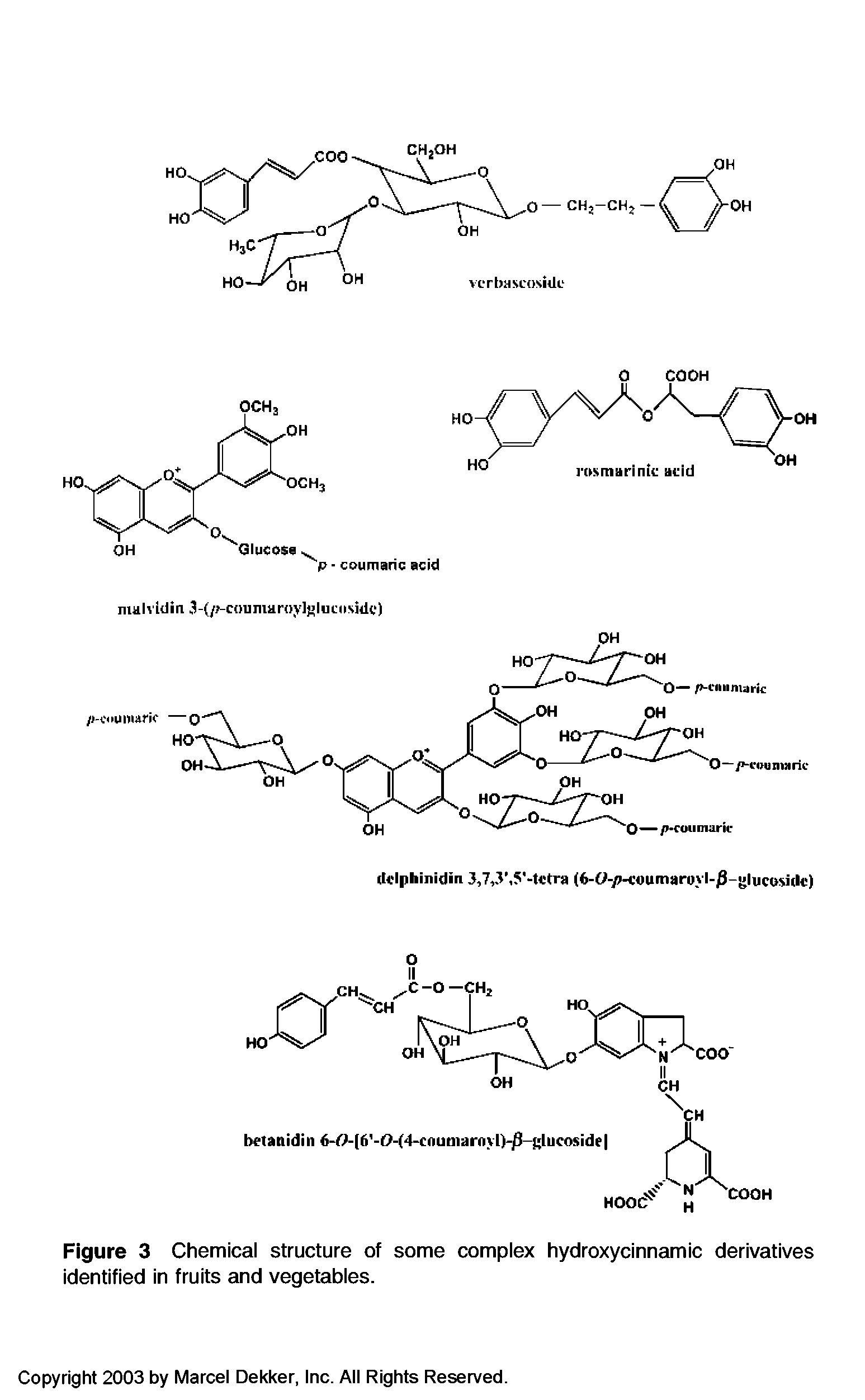 Figure 3 Chemical structure of some complex hydroxycinnamic derivatives identified in fruits and vegetables.