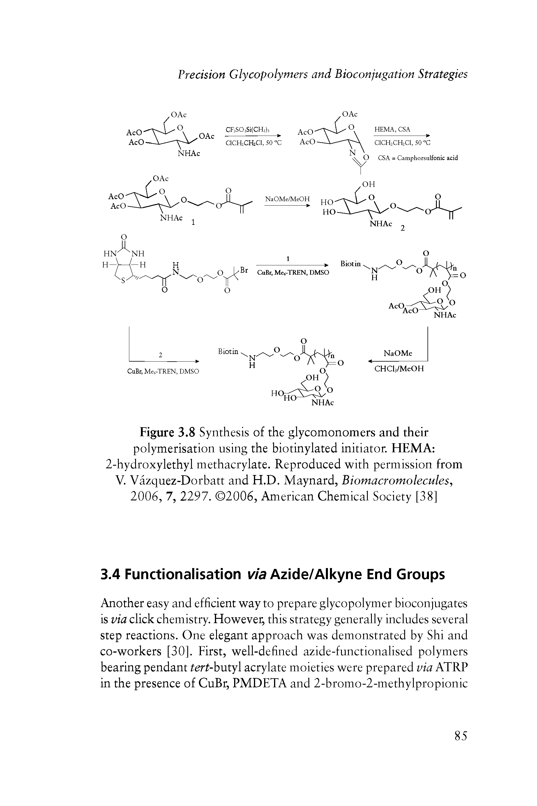 Figure 3.8 Synthesis of the glycomonomers and their polymerisation using the biotinylated initiator. HEMA 2-hydroxylethyl methacrylate. Reproduced with permission from V. Vazquez-Dorbatt and H.D. Maynard, Biomacromolecules, 2006,1, 2297. 2006, American Chemical Society [38]...