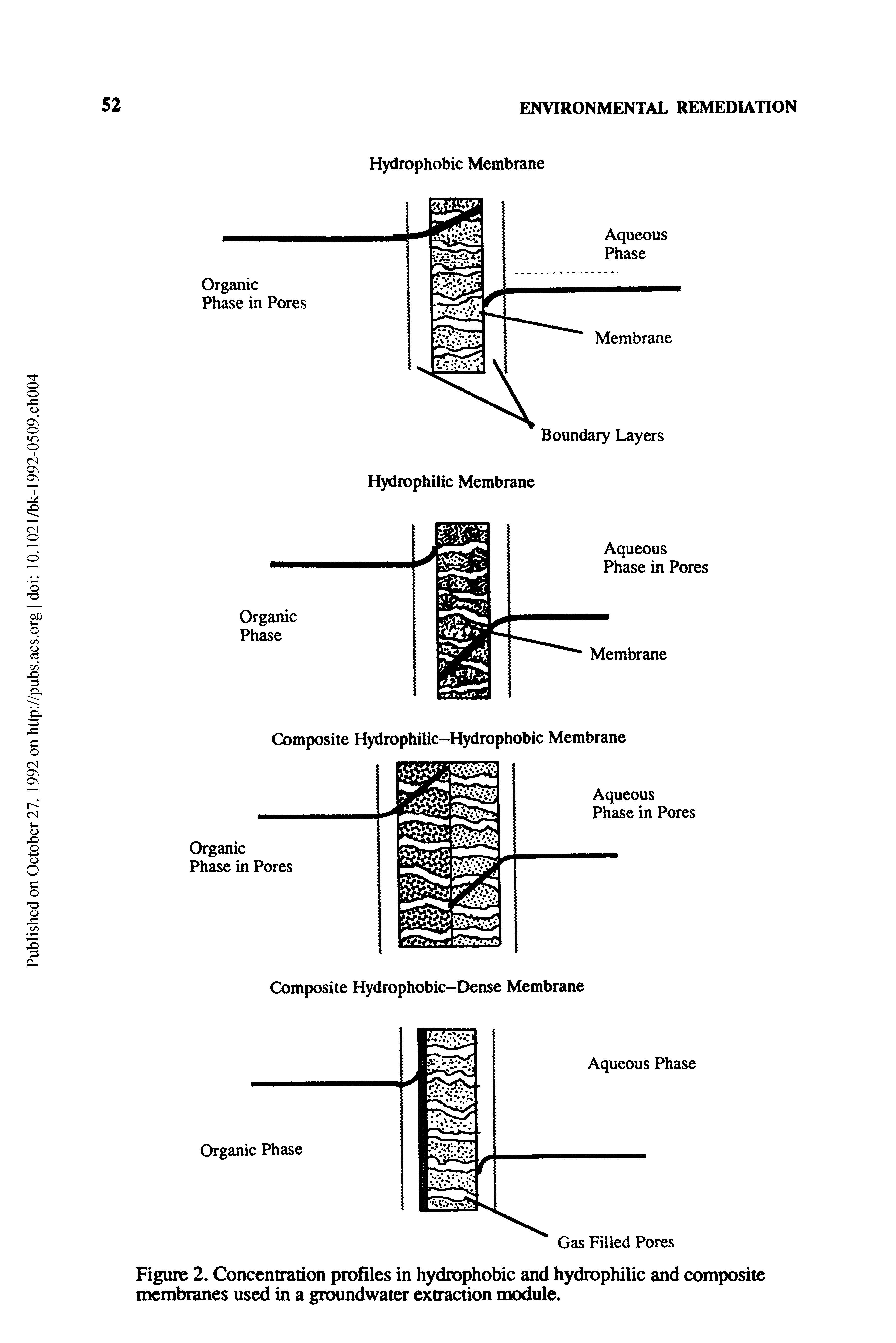 Figure 2. Concentration profiles in hydrophobic and hydrophilic and composite membranes used in a groundwater extraction nxxiule.