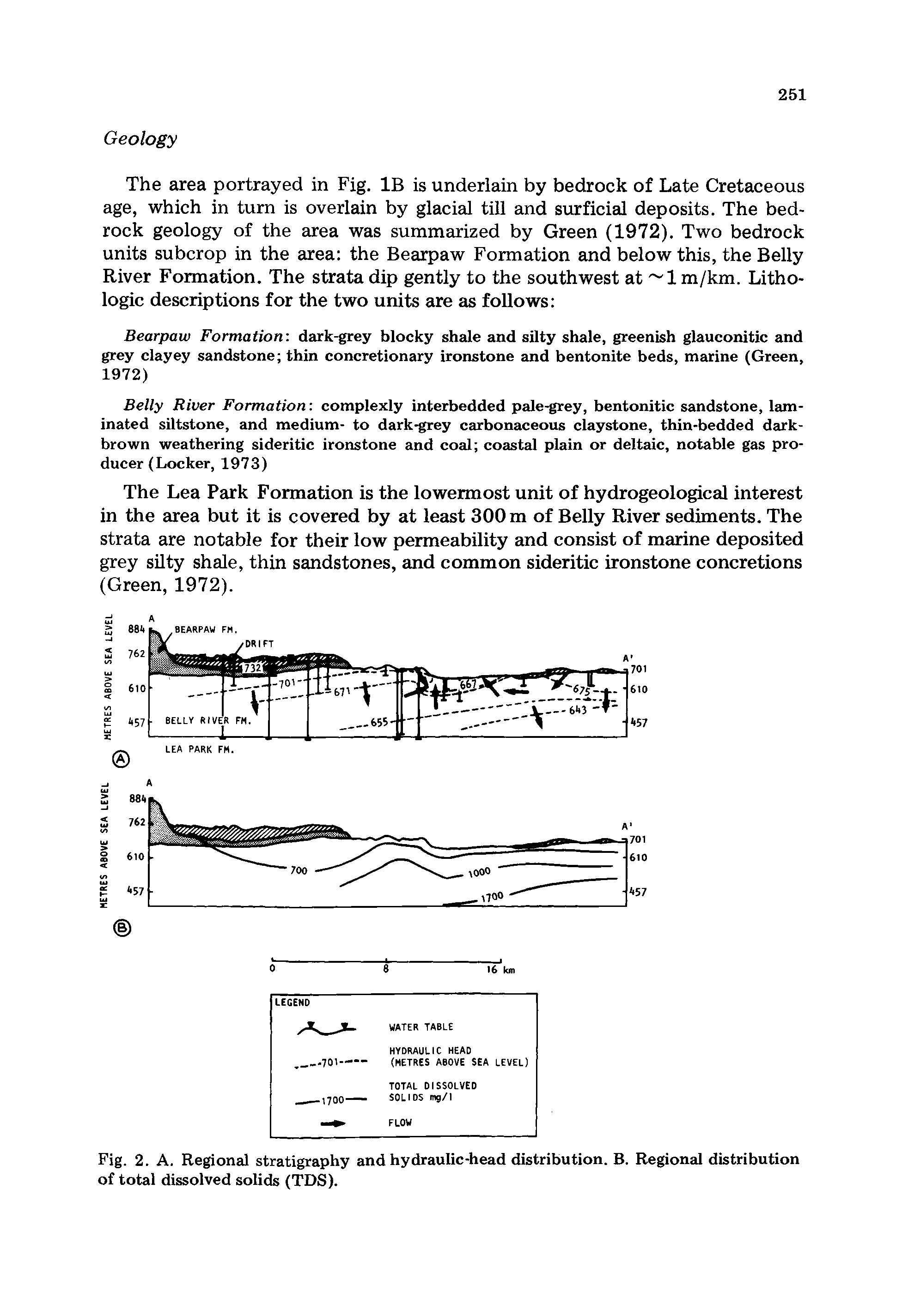 Fig. 2. A. Regional stratigraphy and hydraulic-head distribution. B. Regional distribution of total dissolved solids (TDS).