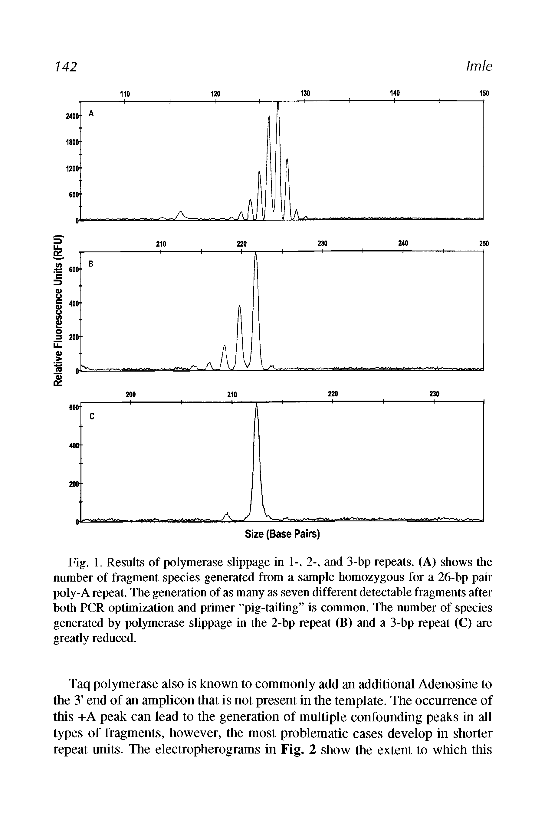 Fig. 1. Results of polymerase slippage in 1-, 2-, and 3-bp repeats. (A) shows the number of fragment species generated from a sample homozygous for a 26-bp pair poly-A repeat. The generation of as many as seven different detectable fragments after both PCR optimization and primer pig-tailing is common. The number of species generated by polymerase slippage in the 2-bp repeat (B) and a 3-bp repeat (C) are greatly reduced.