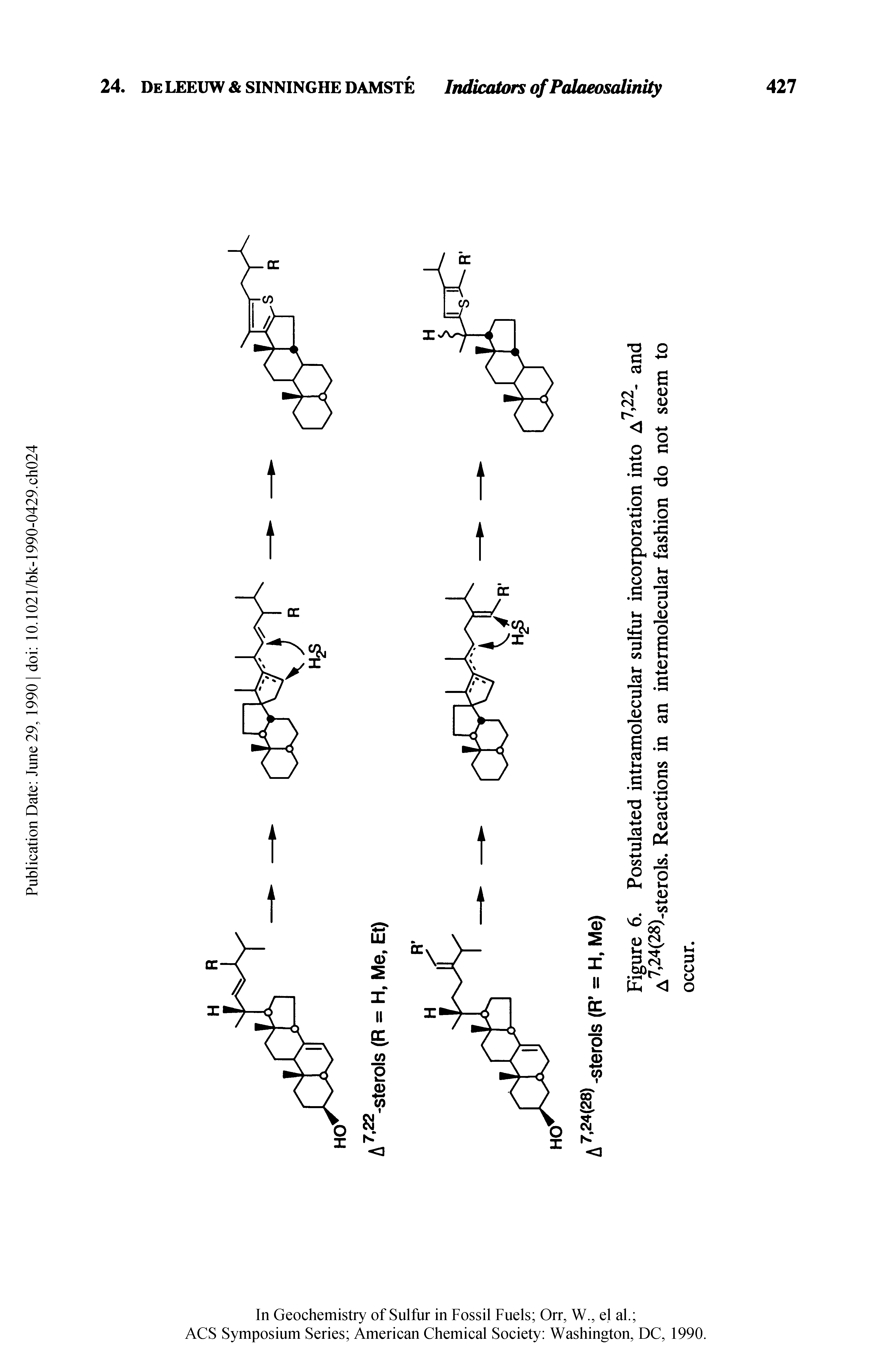 Figure 6. Postulated intramolecular sulfur incorporation into A7,22- and A7,24(28)-sterols. Reactions in an intermolecular fashion do not seem to...