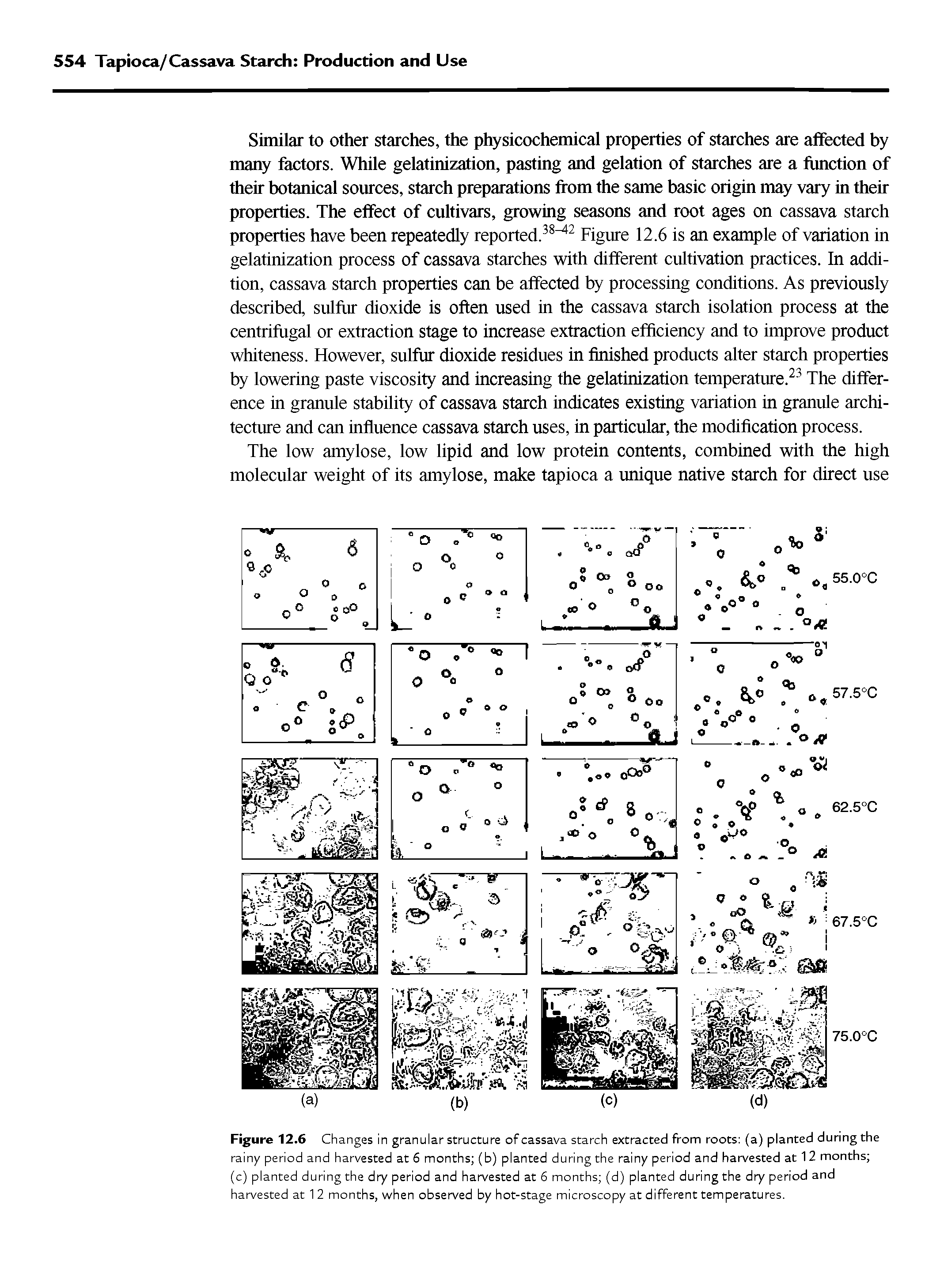 Figure 12.6 Changes in granular structure of cassava starch extracted from roots (a) planted during the rainy period and harvested at 6 months (b) planted during the rainy period and harvested at 12 months (c) planted during the dry period and harvested at 6 months (d) planted during the dry period and harvested at 1 2 months, when observed by hot-stage microscopy at different temperatures.