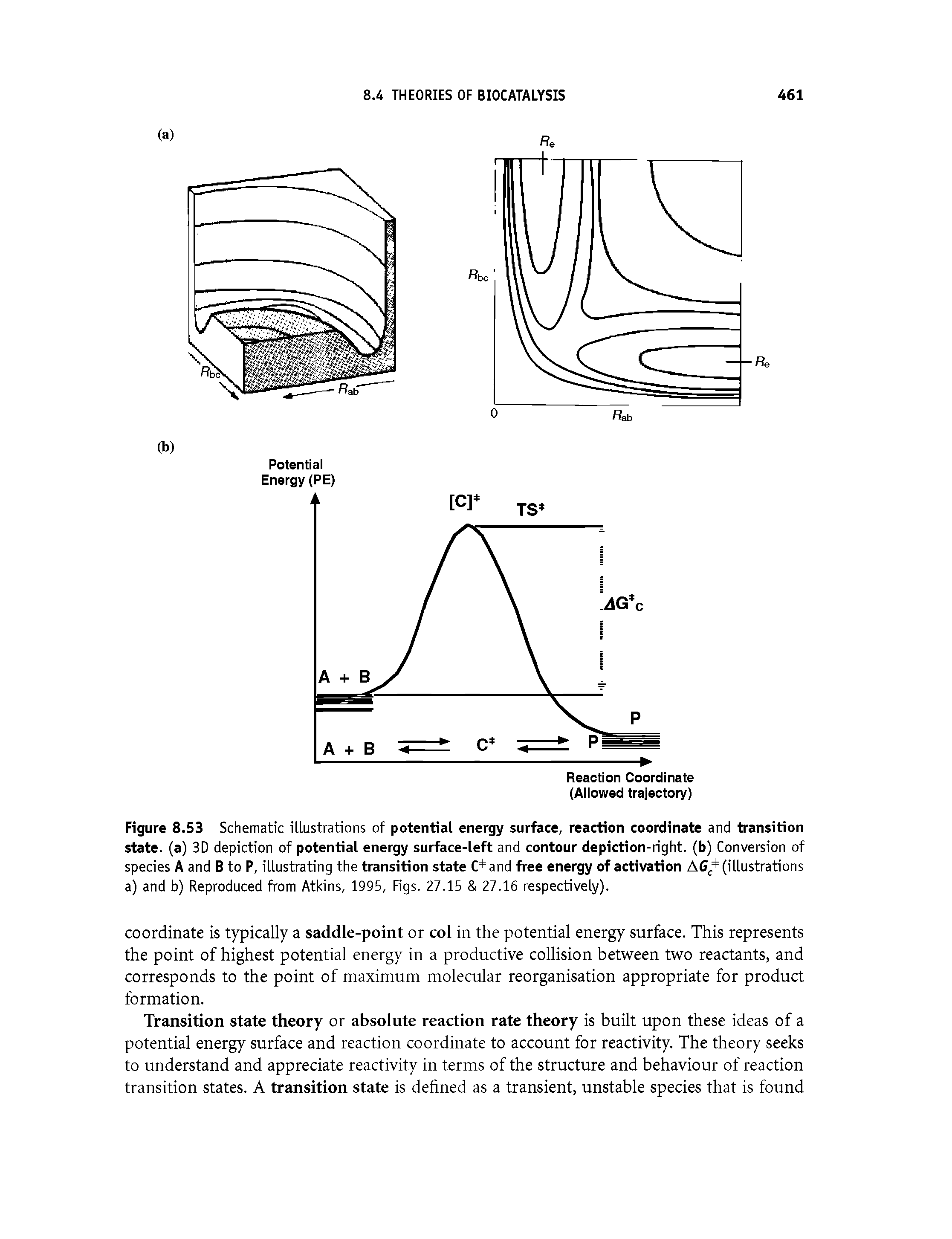 Figure 8.53 Schematic illustrations of potential energy surface, reaction coordinate and transition state, (a) 3D depiction of potential energy surface-left and contour depiction-right, (b) Conversion of species A and B to P, illustrating the transition state C+and free energy of activation A6 +(illustrations a) and b) Reproduced from Atkins, 1995, Figs. 27.15 27.16 respectively).