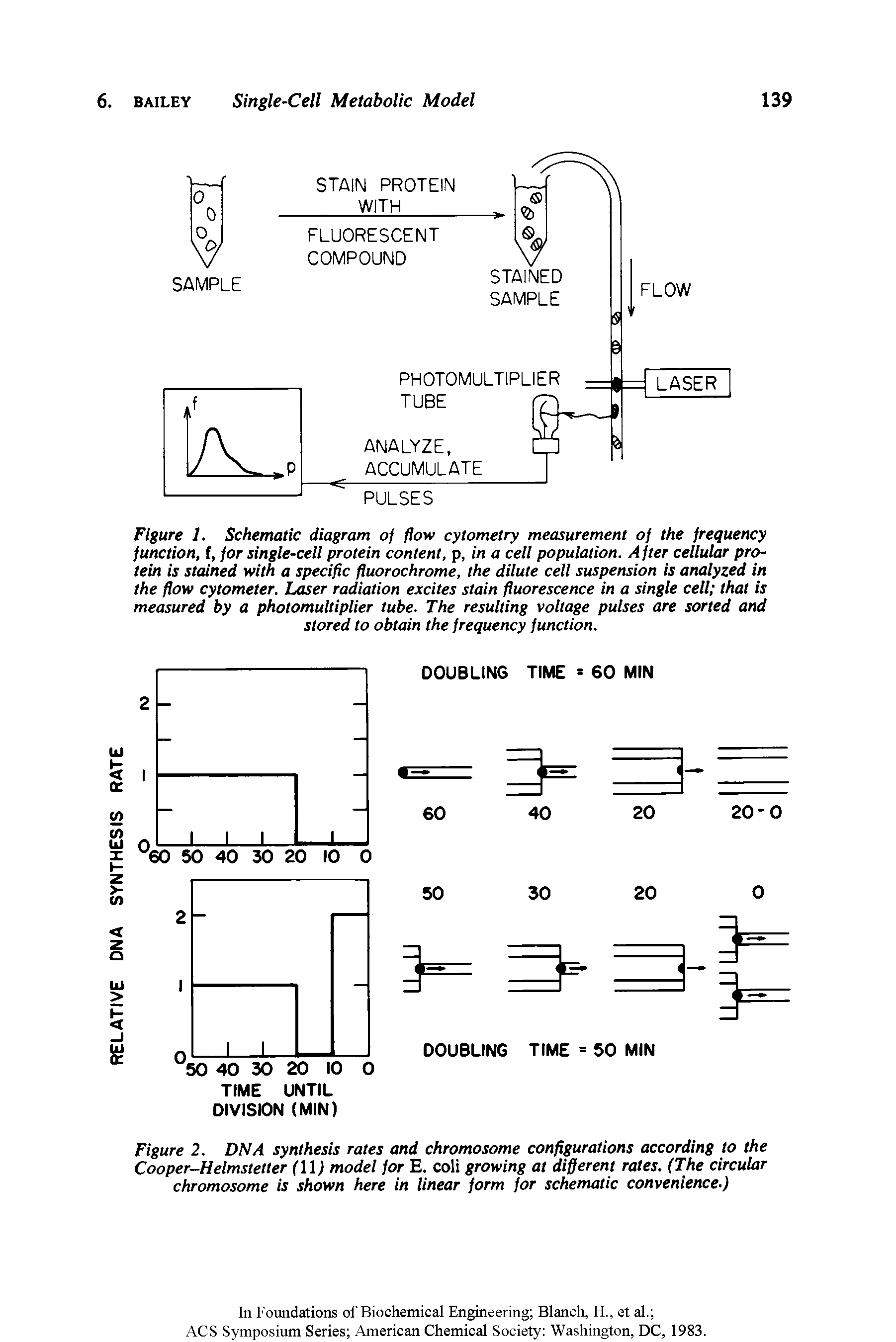 Figure 1. Schematic diagram of flow cytometry measurement of the frequency function, f, for single-cell protein content, p, in a cell population. After cellular protein is stained with a specific fluorochrome, the dilute cell suspension is analyzed in the flow cytometer. Laser radiation excites stain fluorescence in a single cell that is measured by a photomultiplier tube. The resulting voltage pulses are sorted and stored to obtain the frequency function.