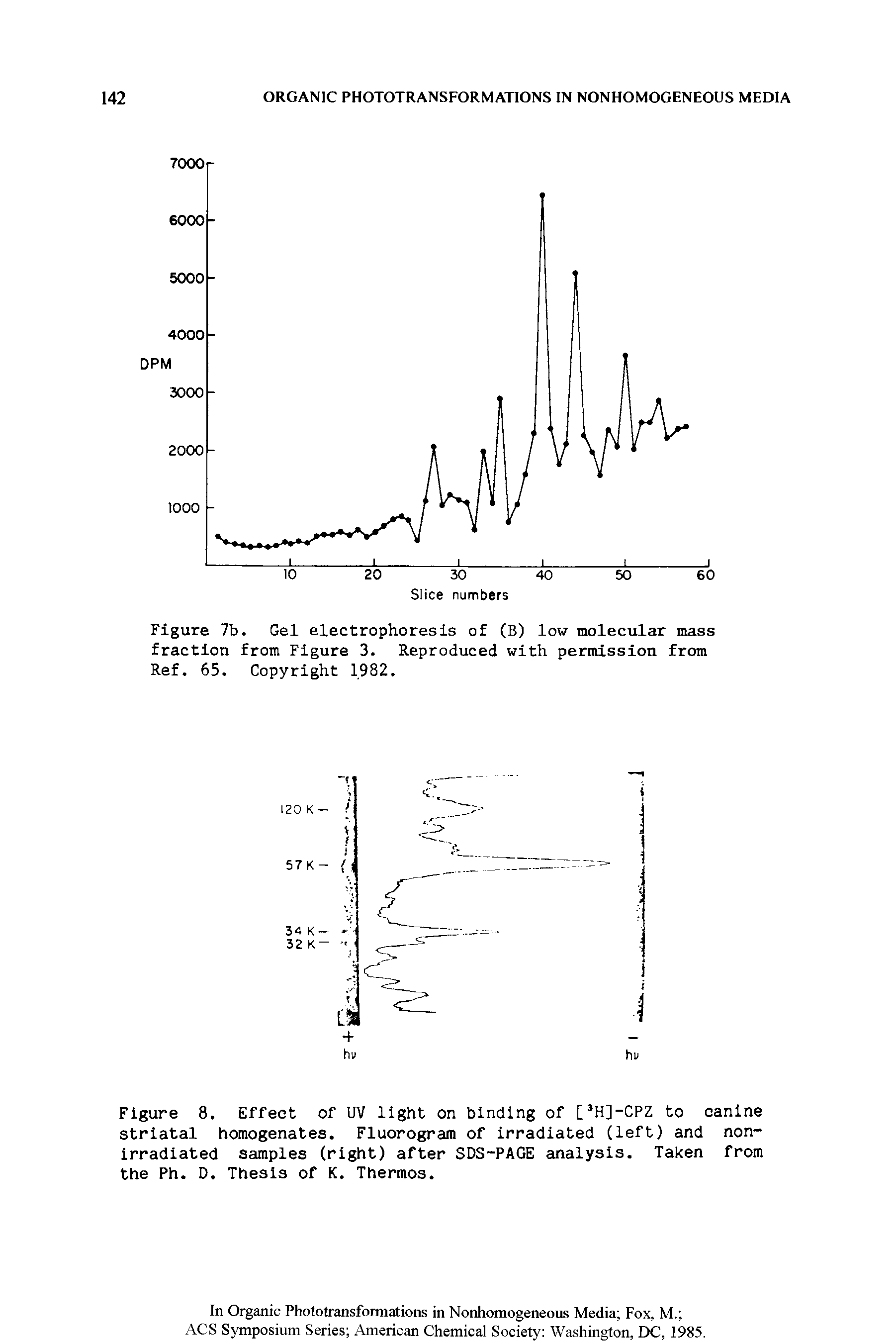 Figure 7b. Gel electrophoresis of (B) low molecular mass fraction from Figure 3. Reproduced with permission from Ref. 65. Copyright 1982.