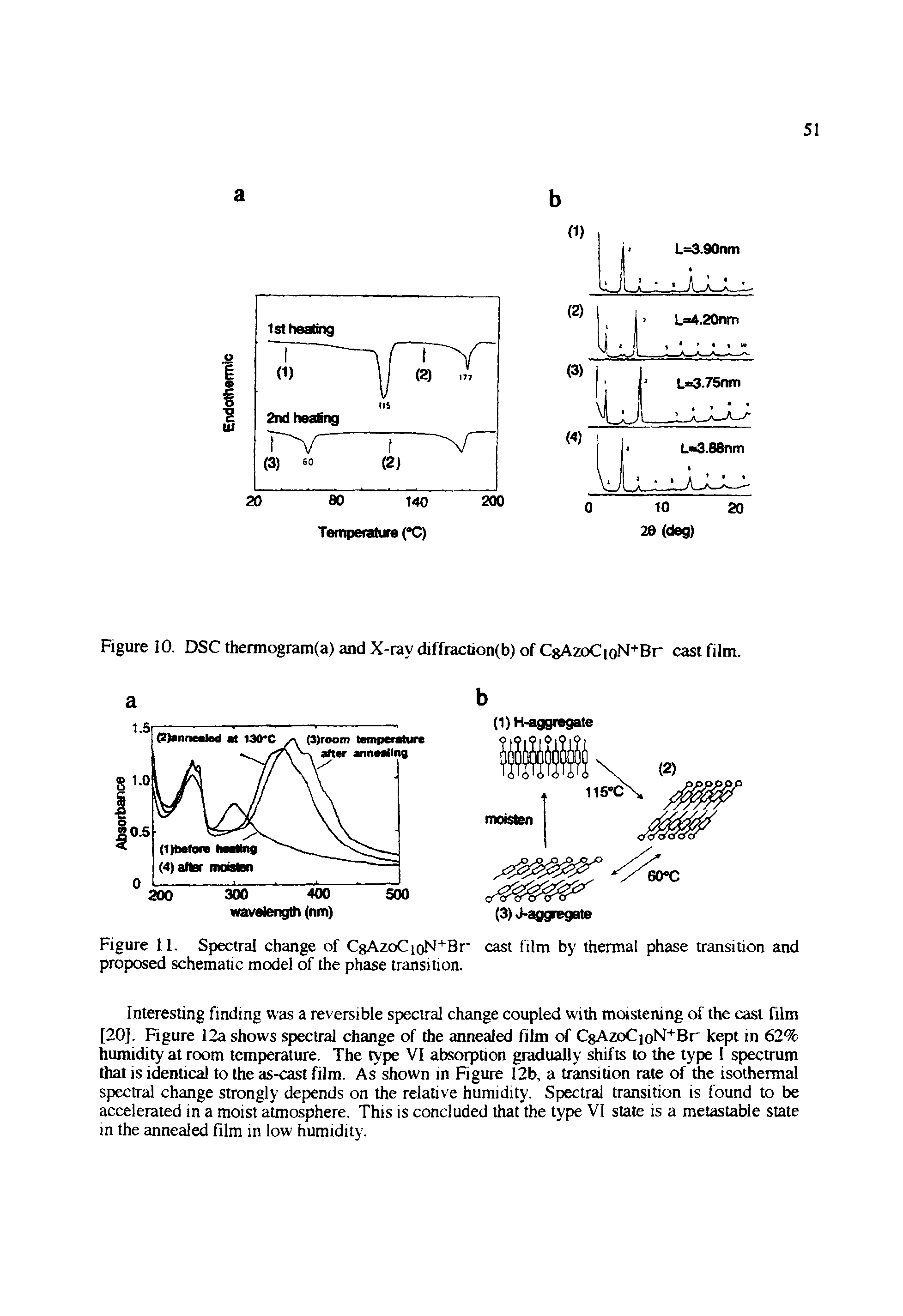 Figure 11. Spectral change of CgAzoCioN+Br cast film by thermal phase transition and proposed schematic model of the phase transition.