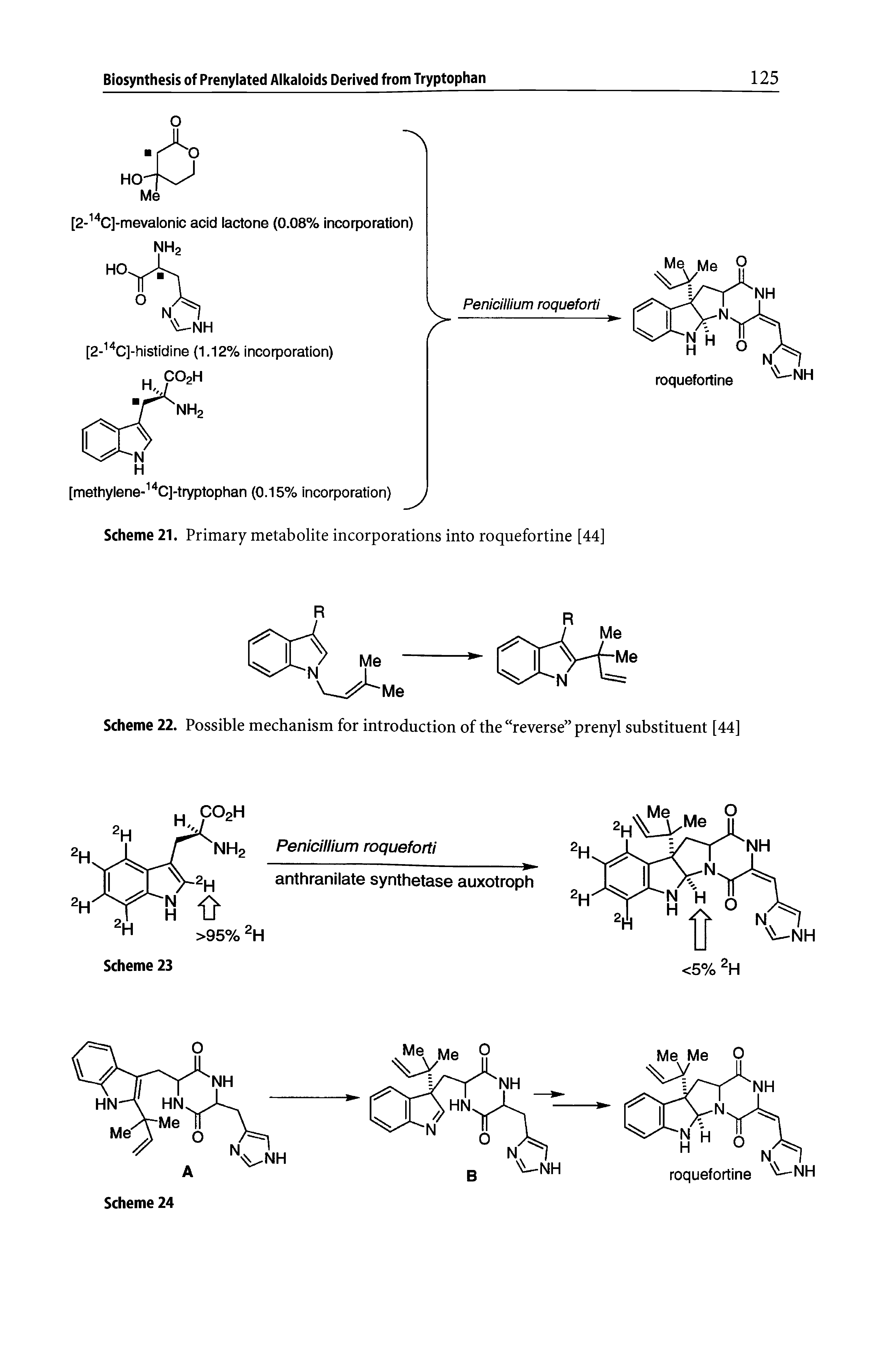 Scheme 22. Possible mechanism for introduction of the reverse prenyl substituent [44]...