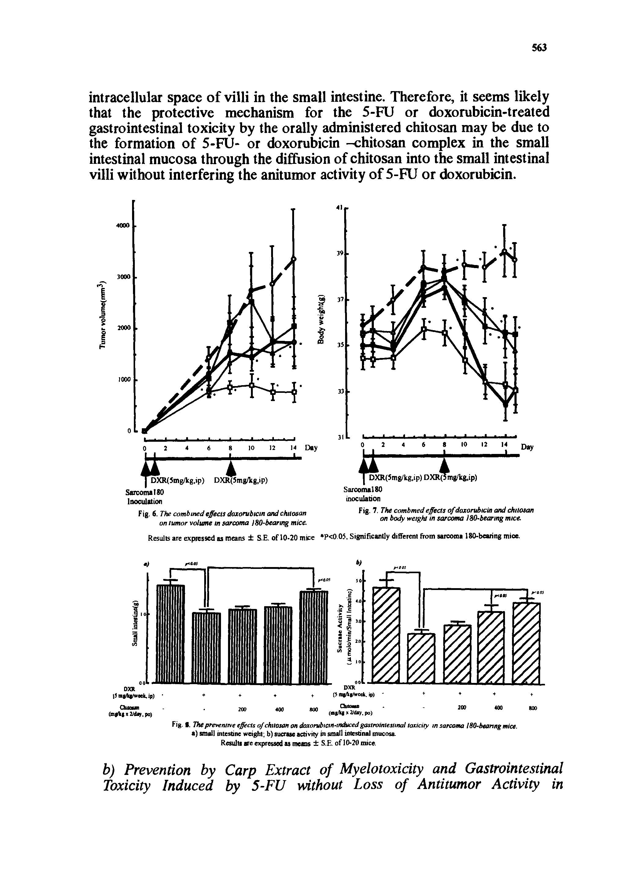 Fig. 8. The preventive effects of chitosan on doxorubicin-induced gastrointestinal toxicity in sarcoma 180-beanng mice, a) small intestine weight b) sucrase activity in small intestinal mucosa.