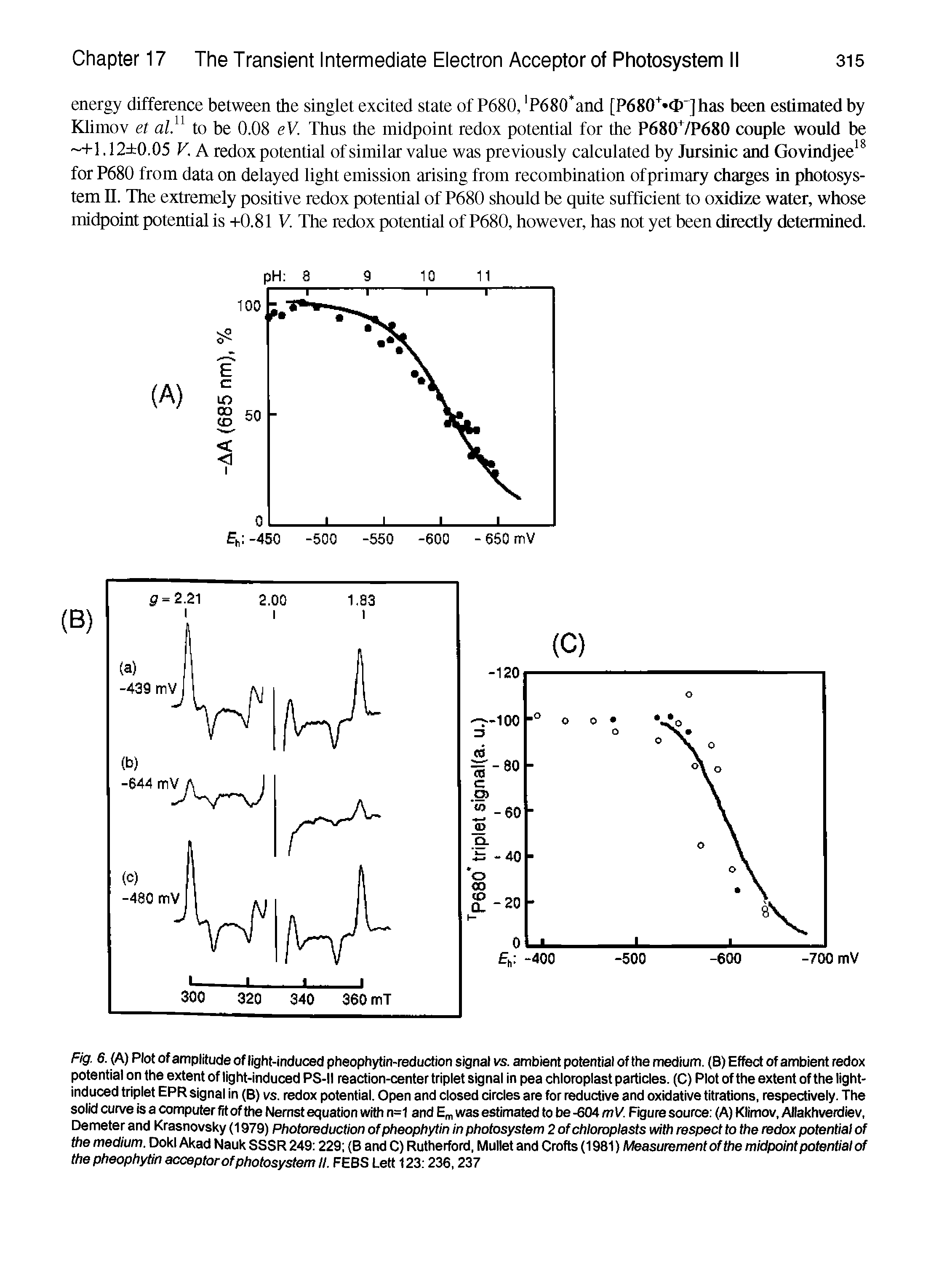 Fig. 6. (A) Plot of amplitude of light-induced pheophytin-reduction signal vs. ambient potential of the medium. (B) Effed of ambient redox potential on the extent of light-induced PS-II reaction-center triplet signal in pea chloroplast particles. (C) Plot of the extent of the light-induced triplet EPR signal in (B) vs. redox potential. Open and closed circles are for reductive and oxidative titrations, respedively. The solid curve is a computer fit of the Nernst equation with n=1 and E , was estimated to be -604 mV. Figure source (A) Klimov. Allakhverdiev. Demeter and Krasnovsky (1979) Photoreduction ofpheophytin in photosystem 2 ofchloroplasts with respect to the redox potential of the medium. DokI Akad NaukSSSR 249 229 (B and C) Rutherford, Mullet and Crofts (1981) Measurement of the midpoint potential of the pheophytin acceptor of photosystem II. FEBS Lett 123 236,237...