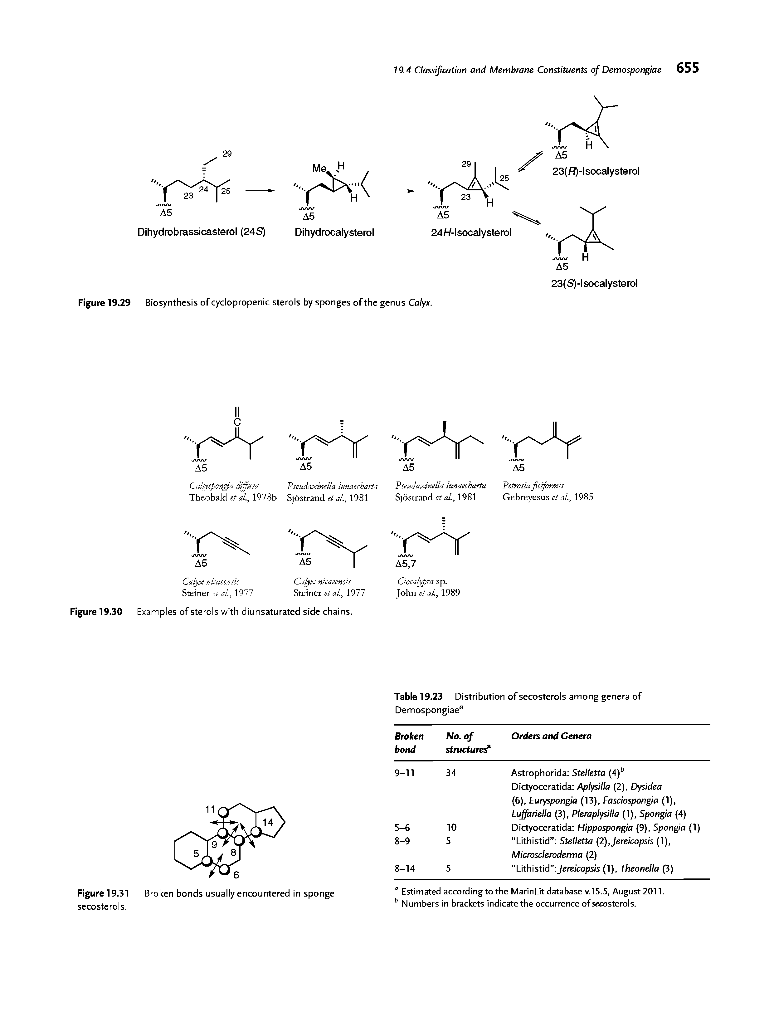 Figure 19.29 Biosynthesis of cyclopropenic sterols by sponges of the genus Calyx.