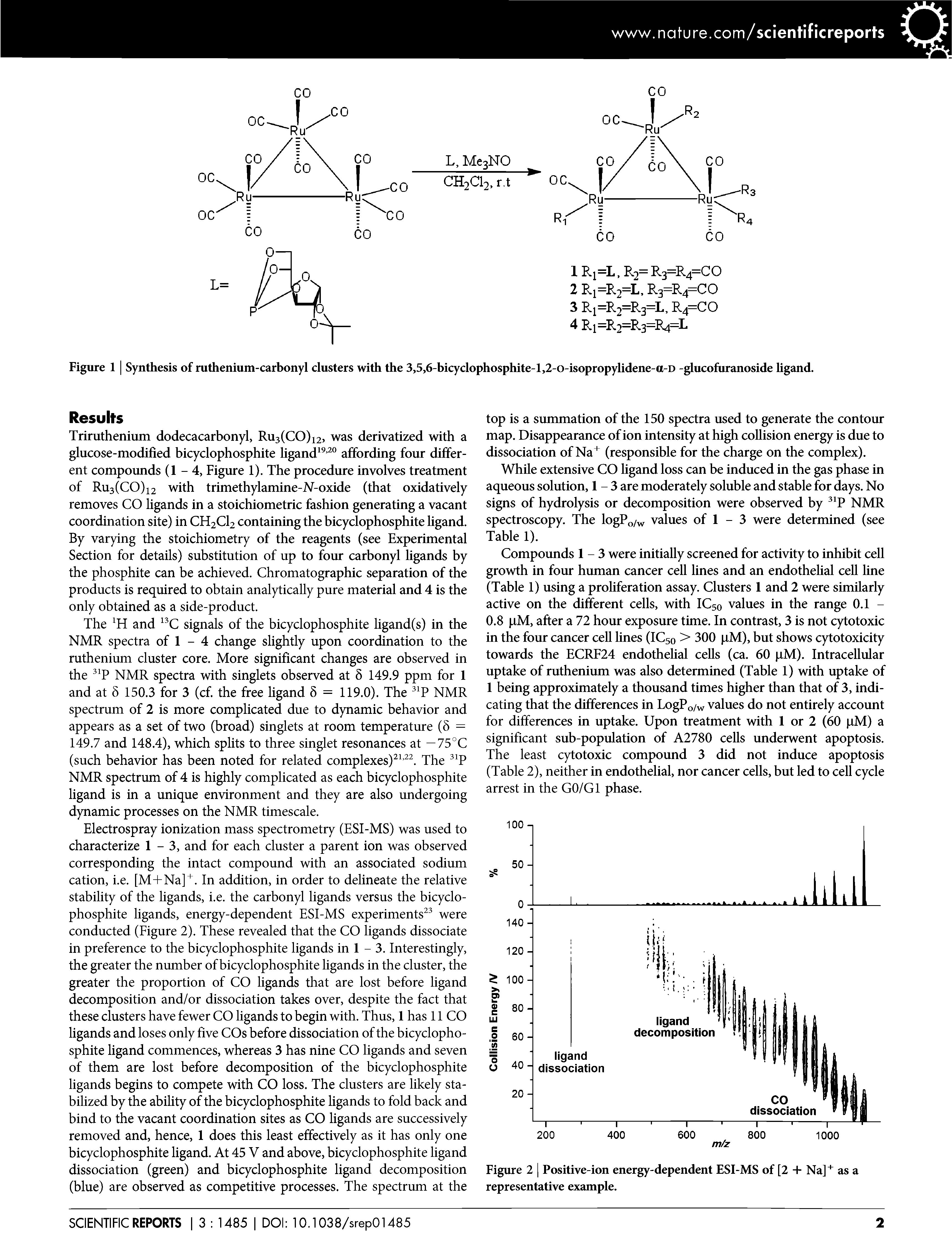 Figure 1 Synthesis of ruthenium-carbonyl clusters with the 3,5,6-bicyclophosphite-l,2-o-isopropylidene-a-D -glucofuranoside ligand.