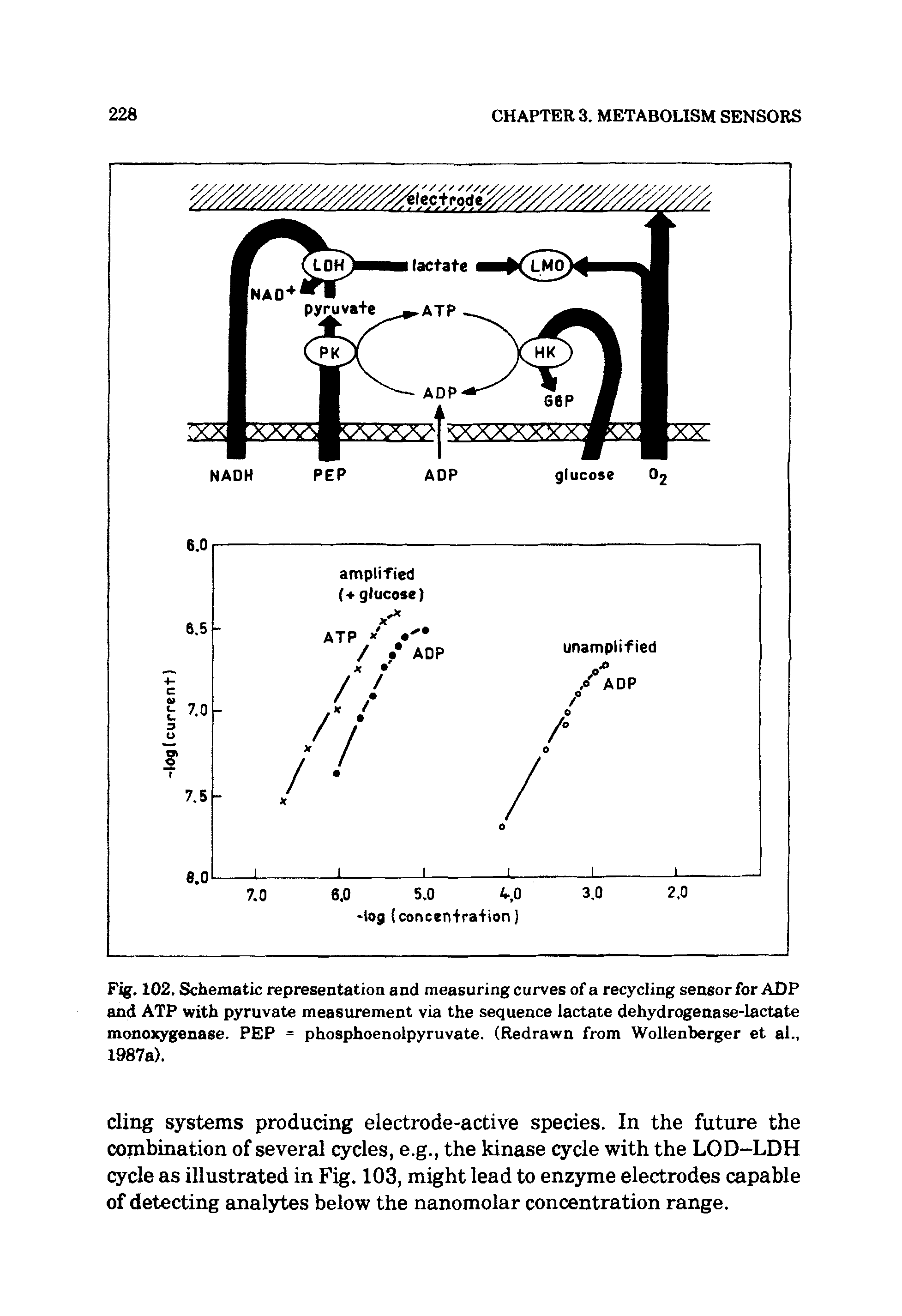 Fig. 102. Schematic representation and measuring curves of a recycling sensor for ADP and ATP with pyruvate measurement via the sequence lactate dehydrogenase-lactate monoxygenase. PEP = phosphoenolpyruvate. (Redrawn from Wollenberger et al., 1987a).