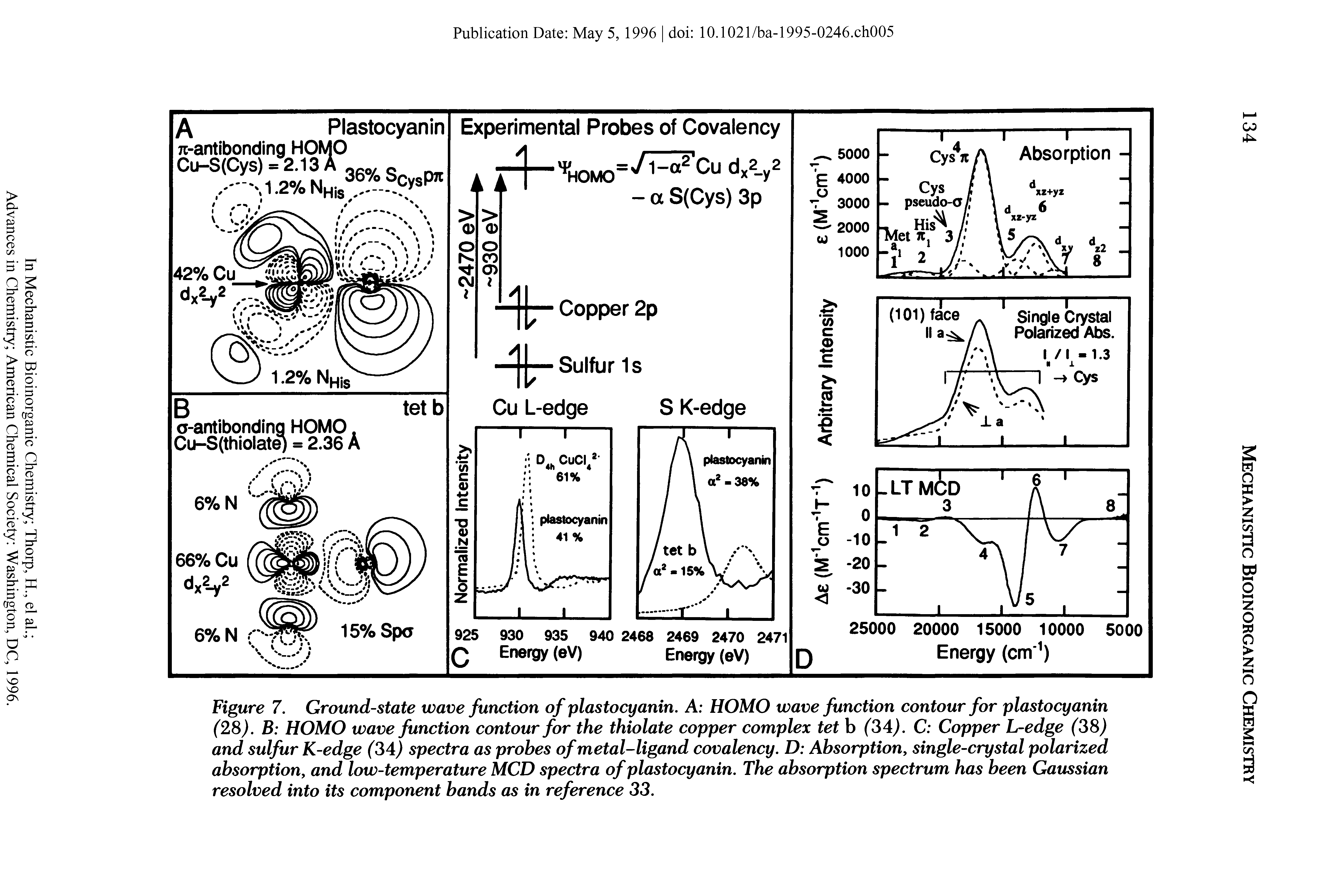 Figure 7. Ground-state wave function of plastocyanin. A HOMO wave function contour for plastocyanin (28). B HOMO wave function contour for the thiolate copper complex tet b (34/ C Copper L-edge (38) and sulfur K-edge (34) spectra as probes of metal-ligand covalency. D Absorption, single-crystal polarized absorption, and low-temperature MCD spectra of plastocyanin. The absorption spectrum has been Gaussian resolved into its component bands as in reference 33.