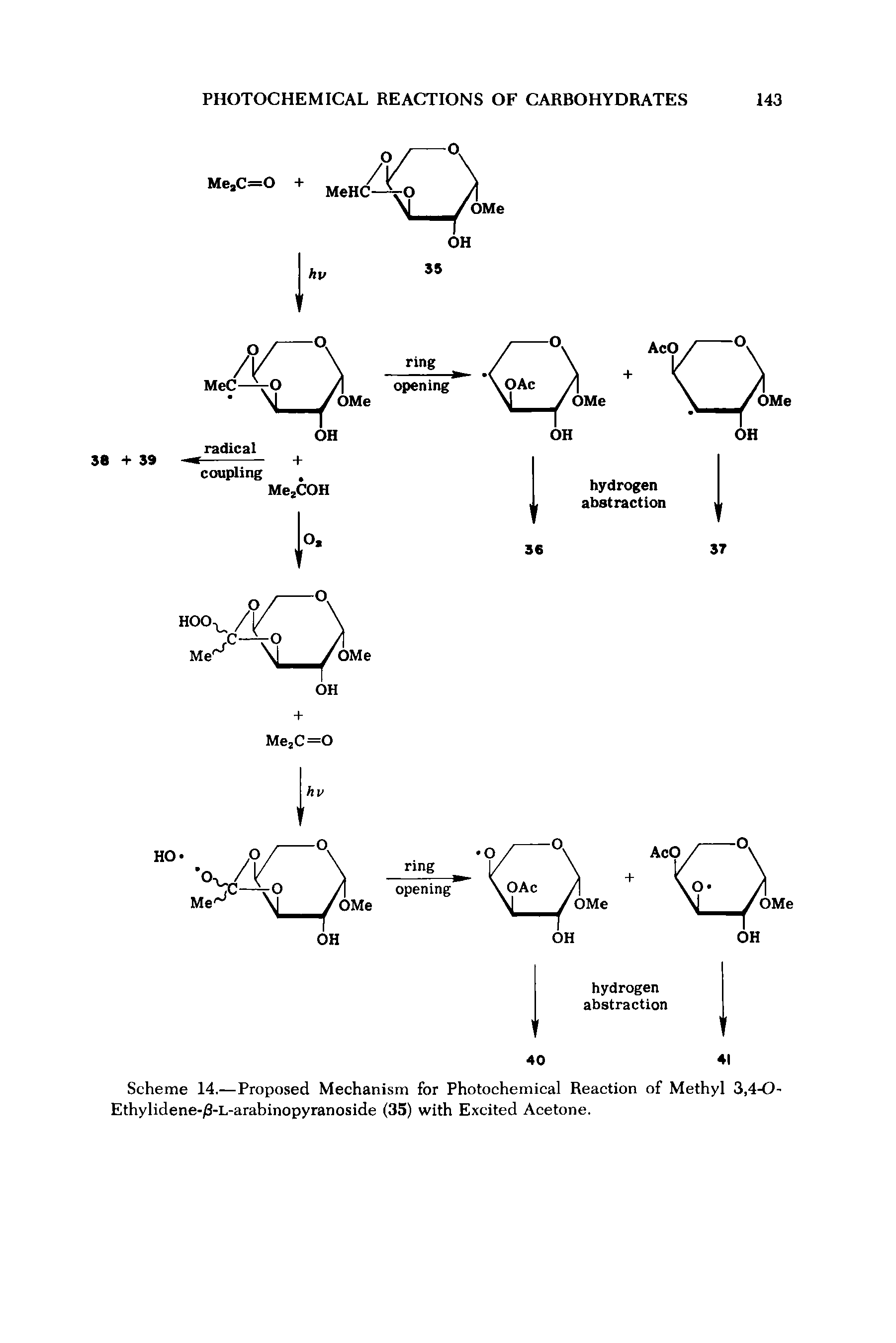 Scheme 14.—Proposed Mechanism for Photochemical Reaction of Methyl 3,4-0 Ethylidene-/3-L-arabinopyranoside (35) with Excited Acetone.
