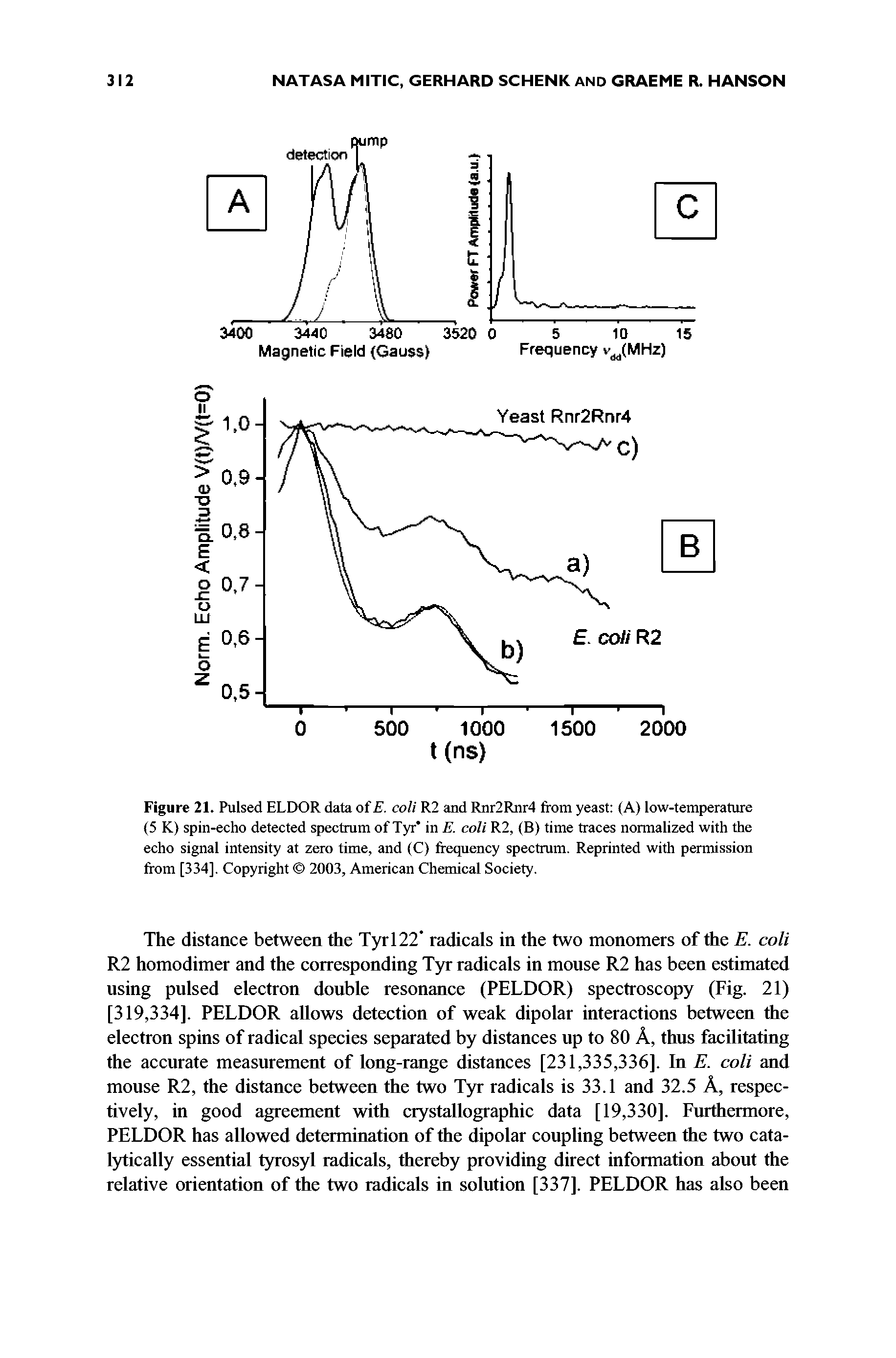 Figure 21. Pulsed ELDOR data of E. coli R2 and Rnr2Rnr4 from yeast (A) low-temperature (5 K) spin-echo detected spectrum of Tyr in E. coli R2, (B) time traces normalized with the echo signal intensity at zero time, and (C) frequency spectrum. Reprinted with permission from [334]. Copyright 2003, American Chemical Society.